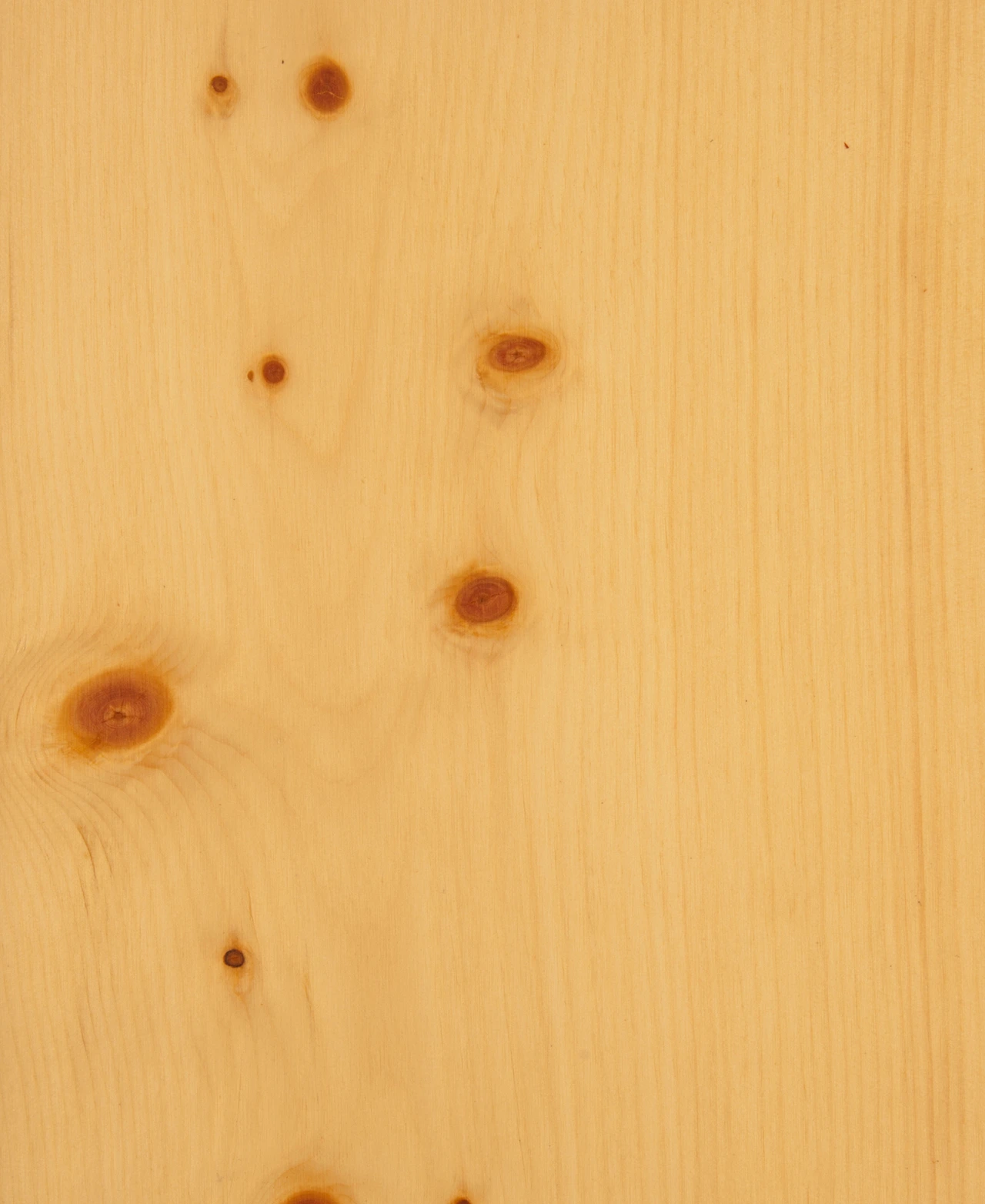 picture alternative text