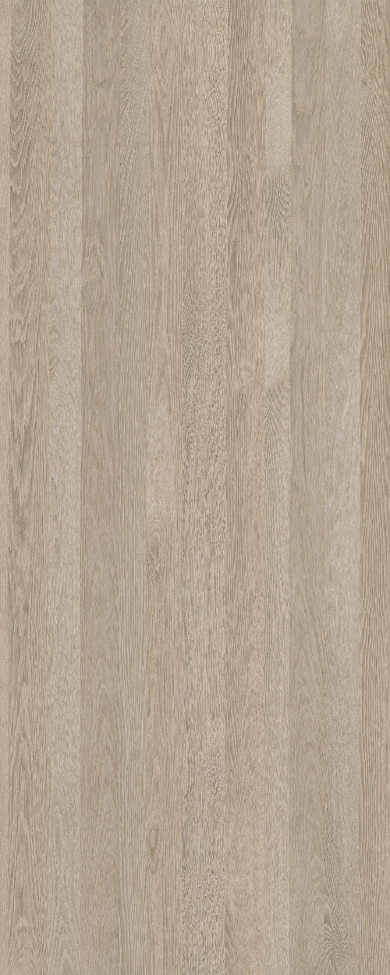 picture alternative text