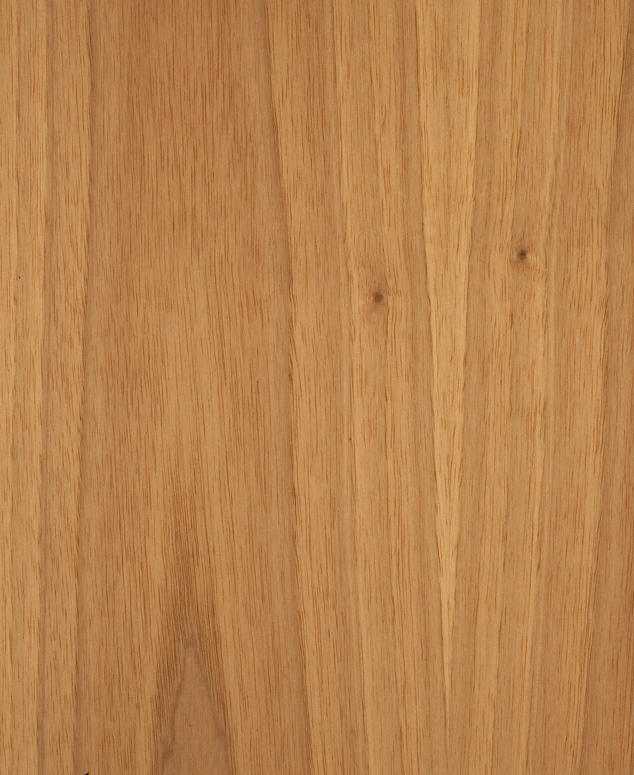 picture alternative text