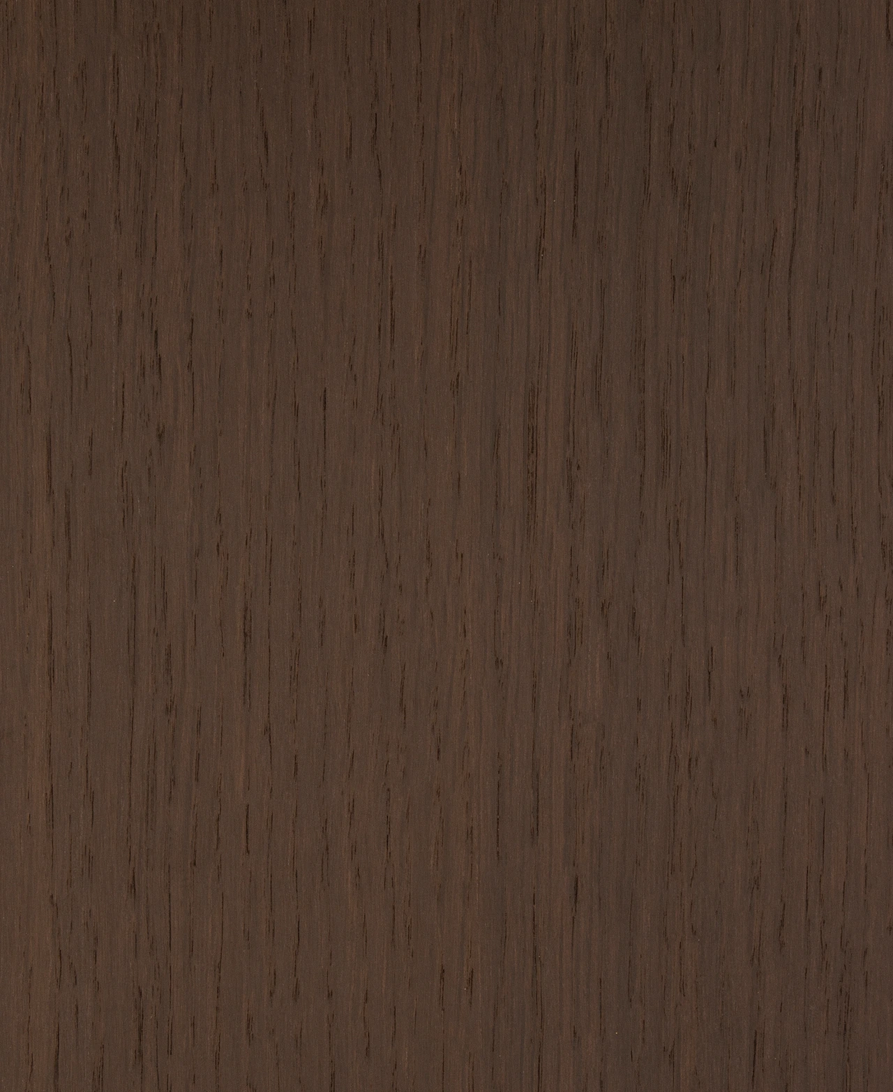 picture alternative text