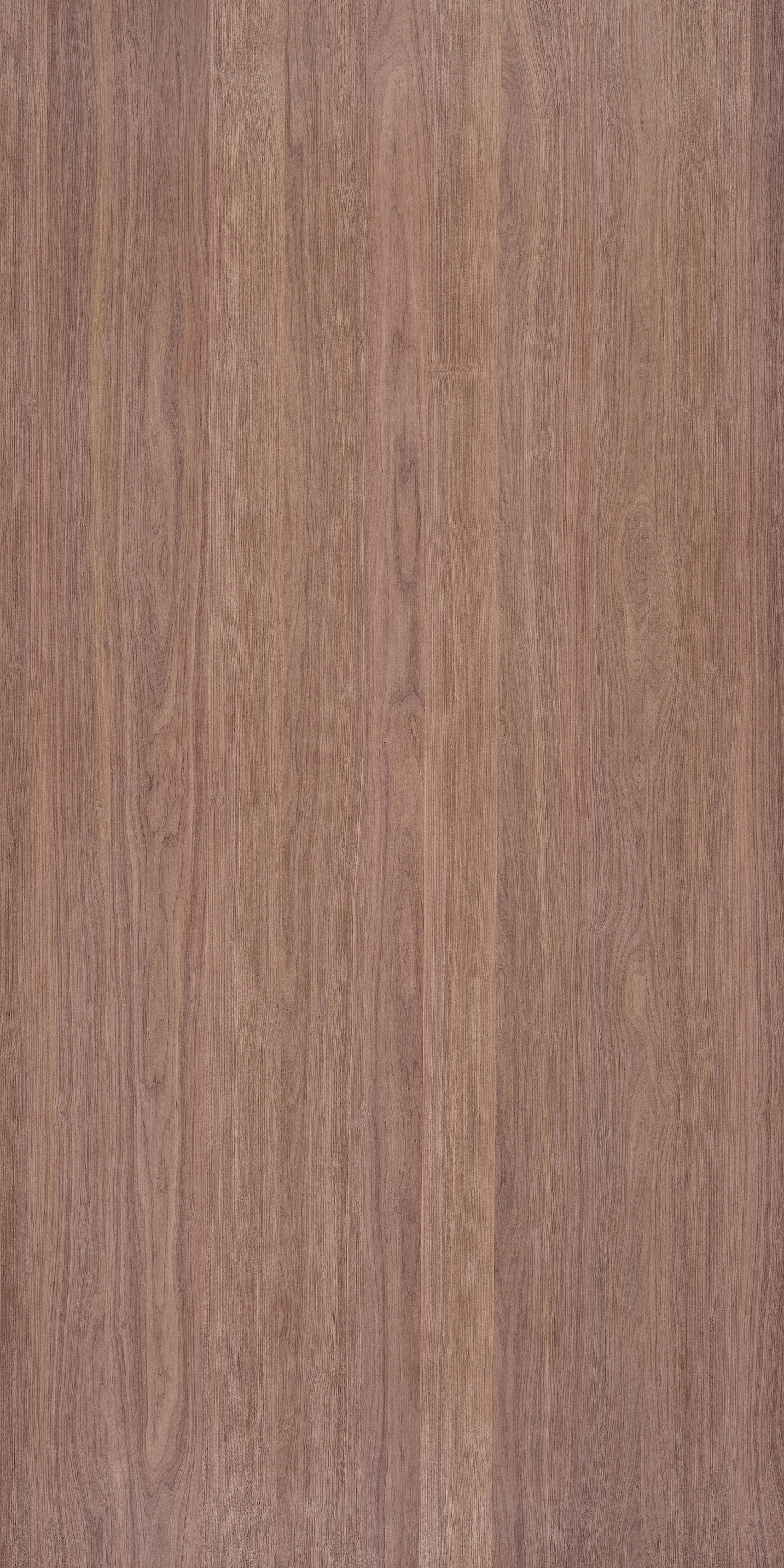 picture alternative text