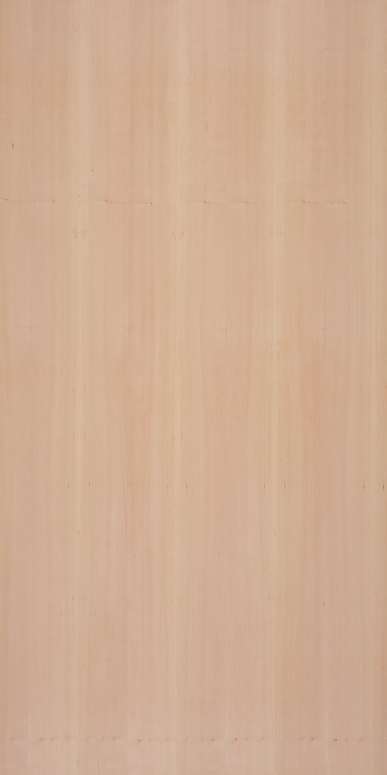 picture alternative text