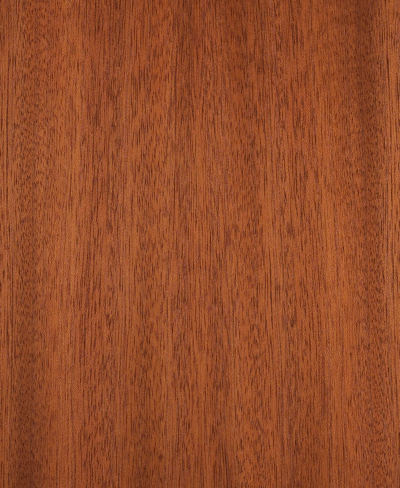 picture alternative text