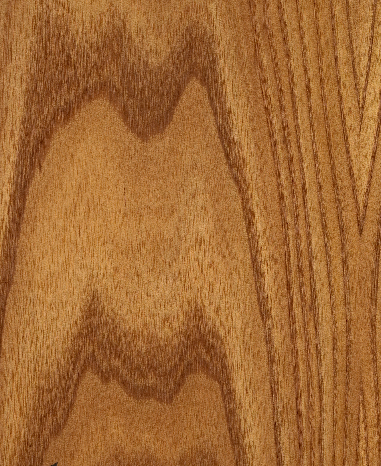 picture alternative text