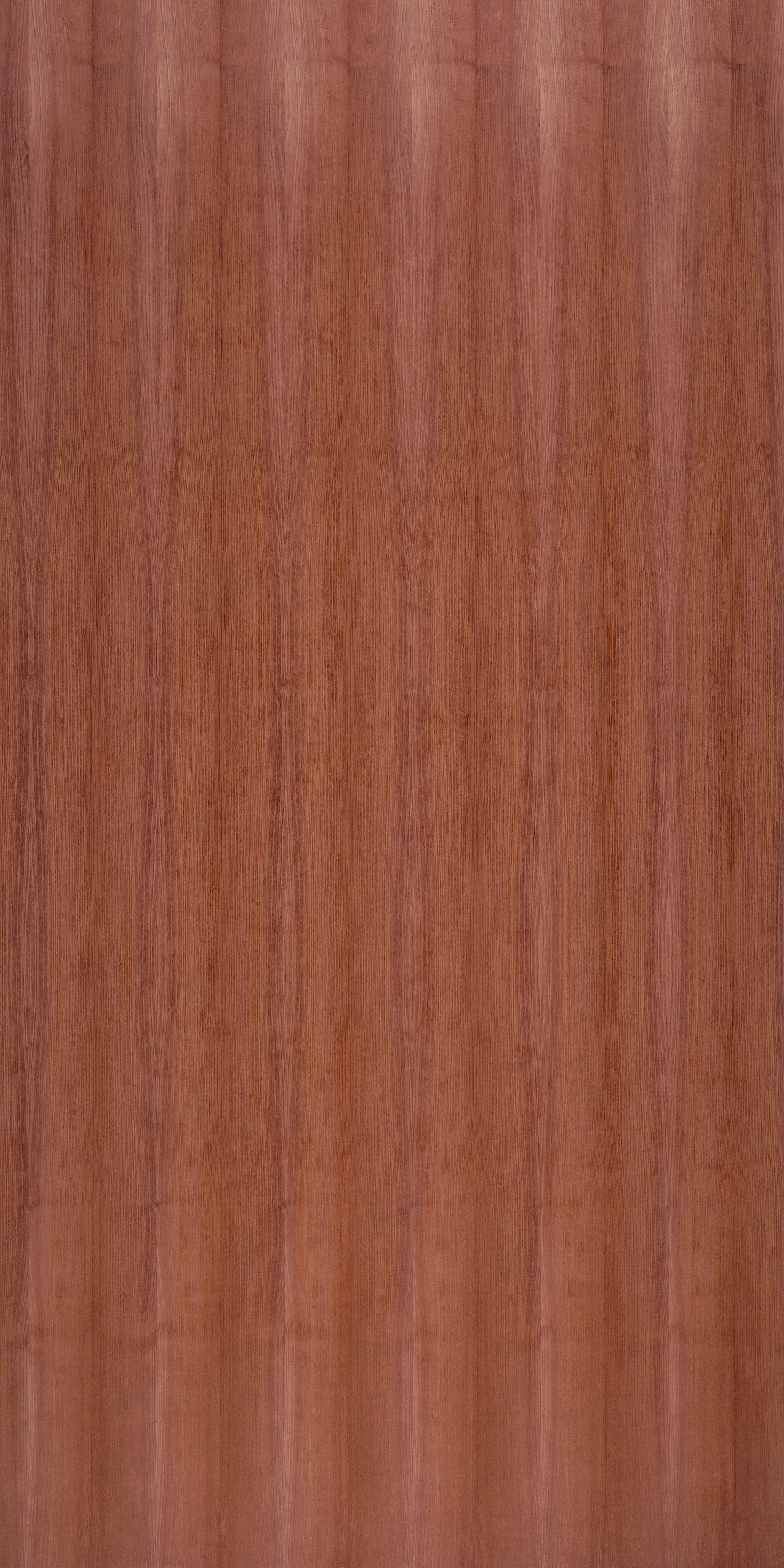 picture alternative text