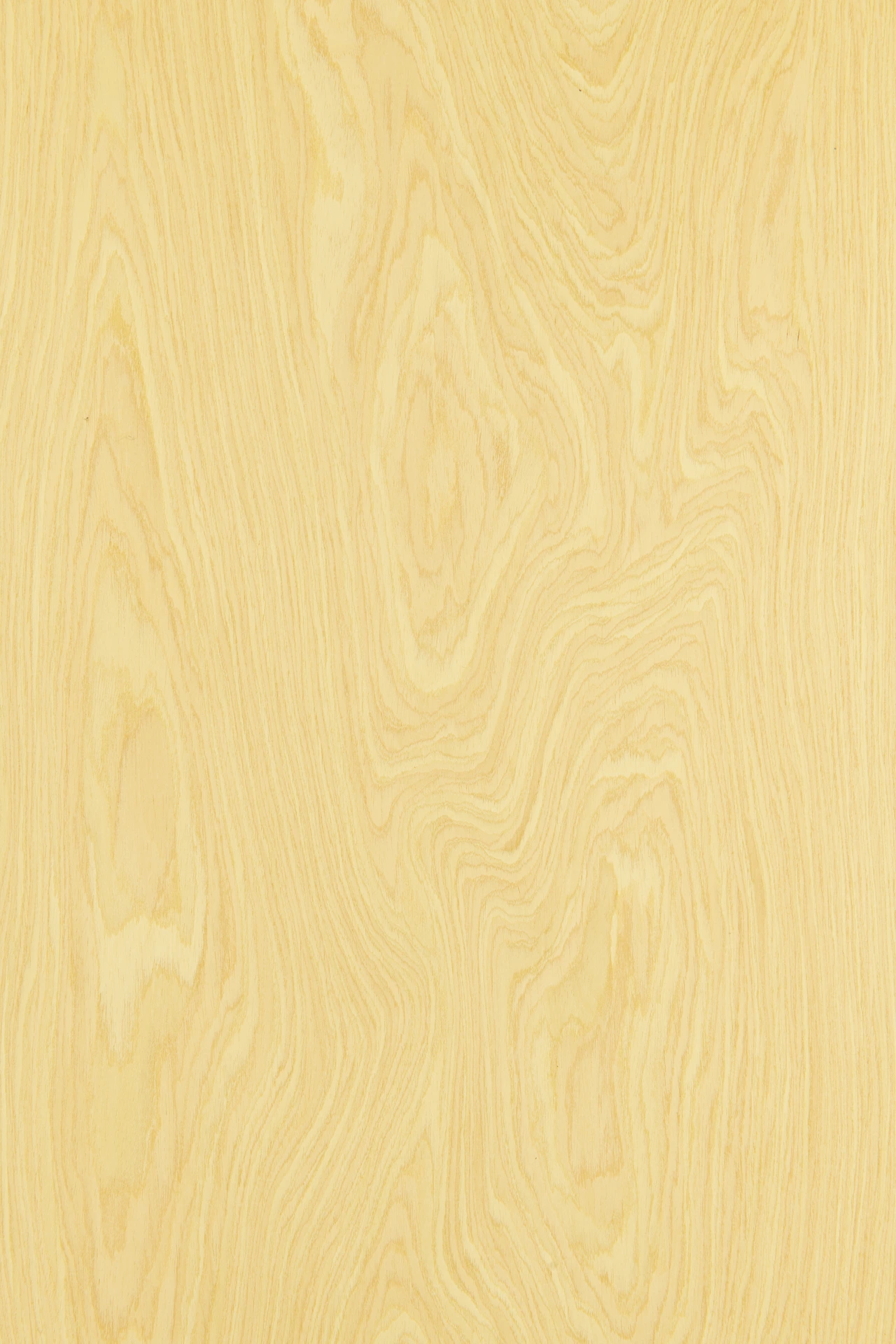 picture alternative text