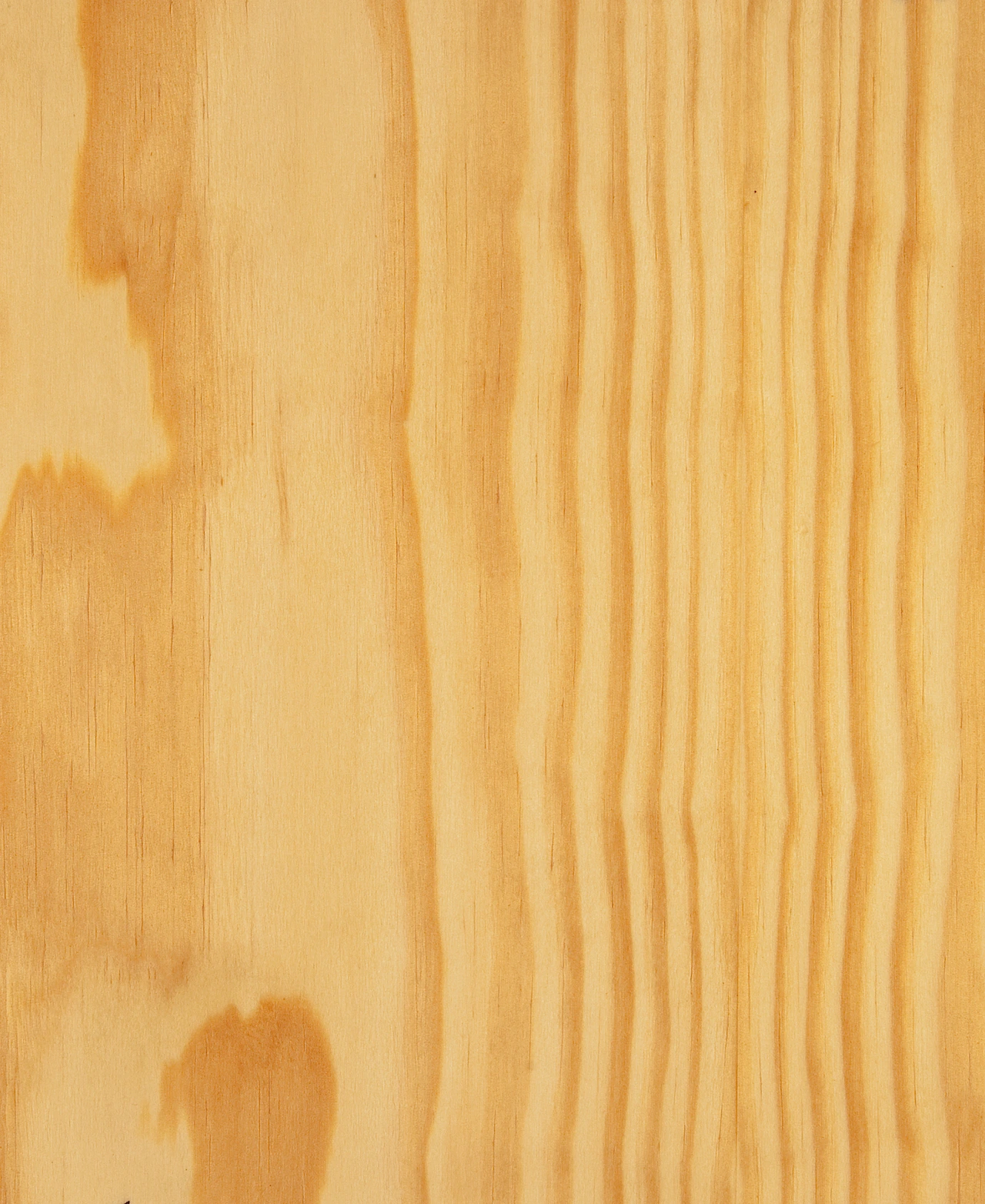 picture alternative text