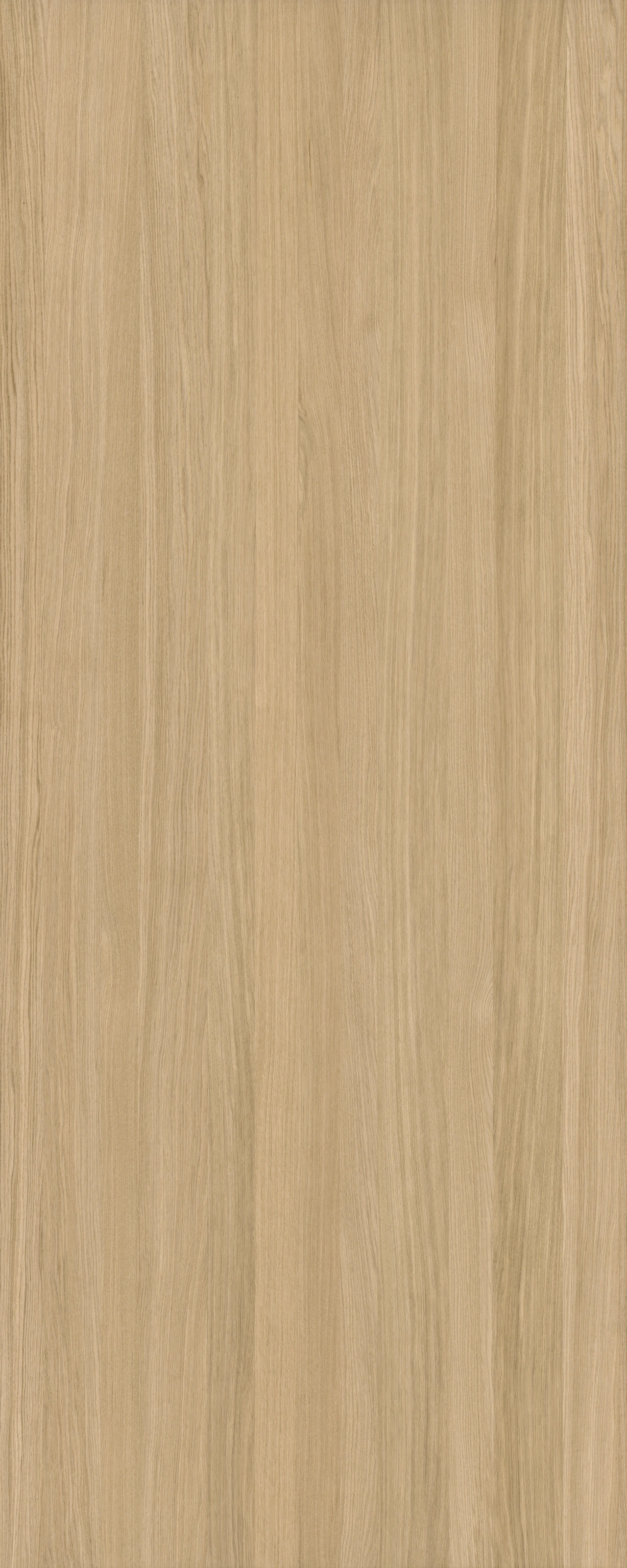 picture alternative text