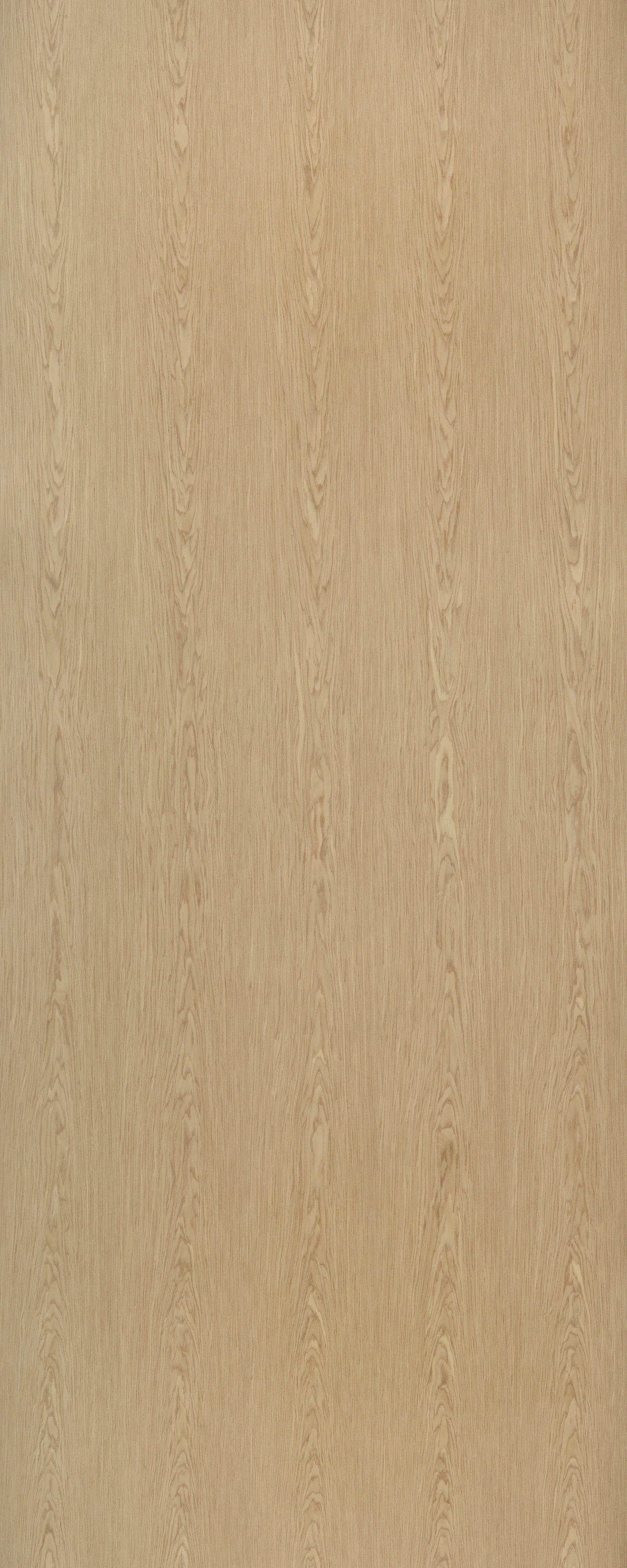 picture alternative text