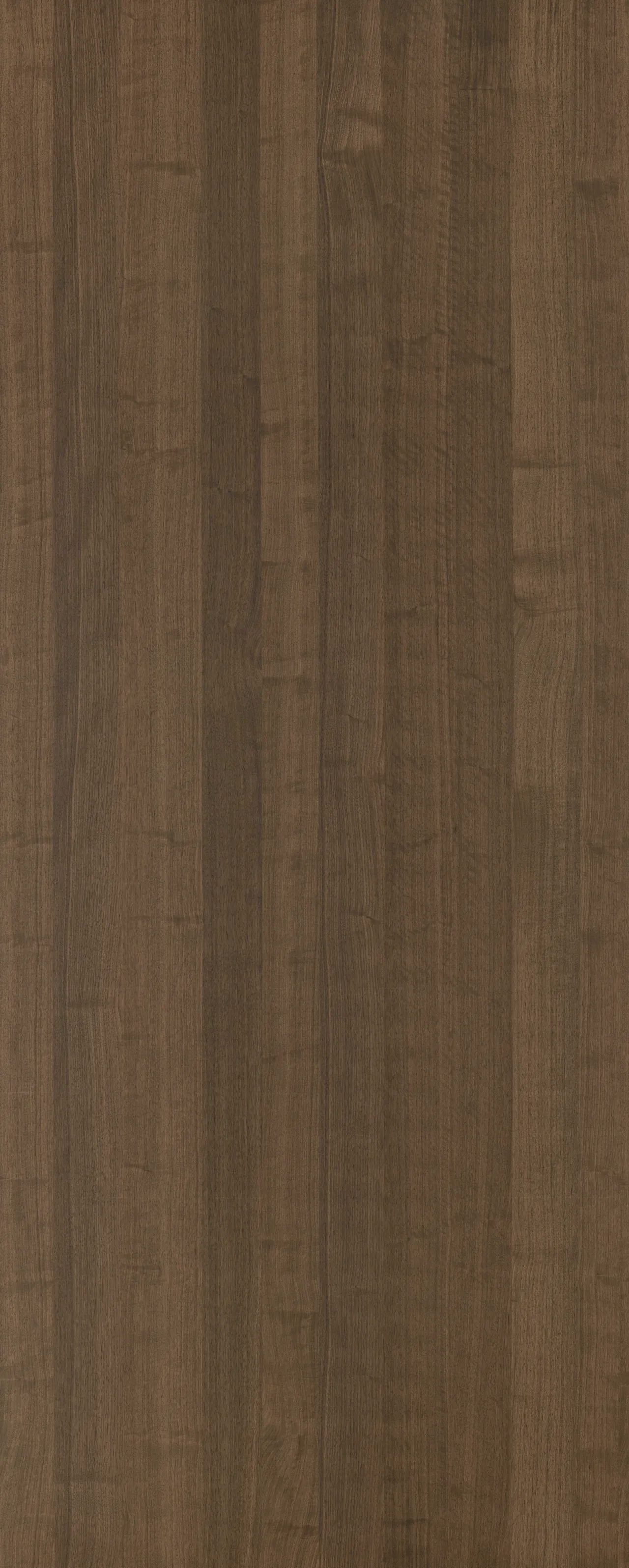 picture alternative text