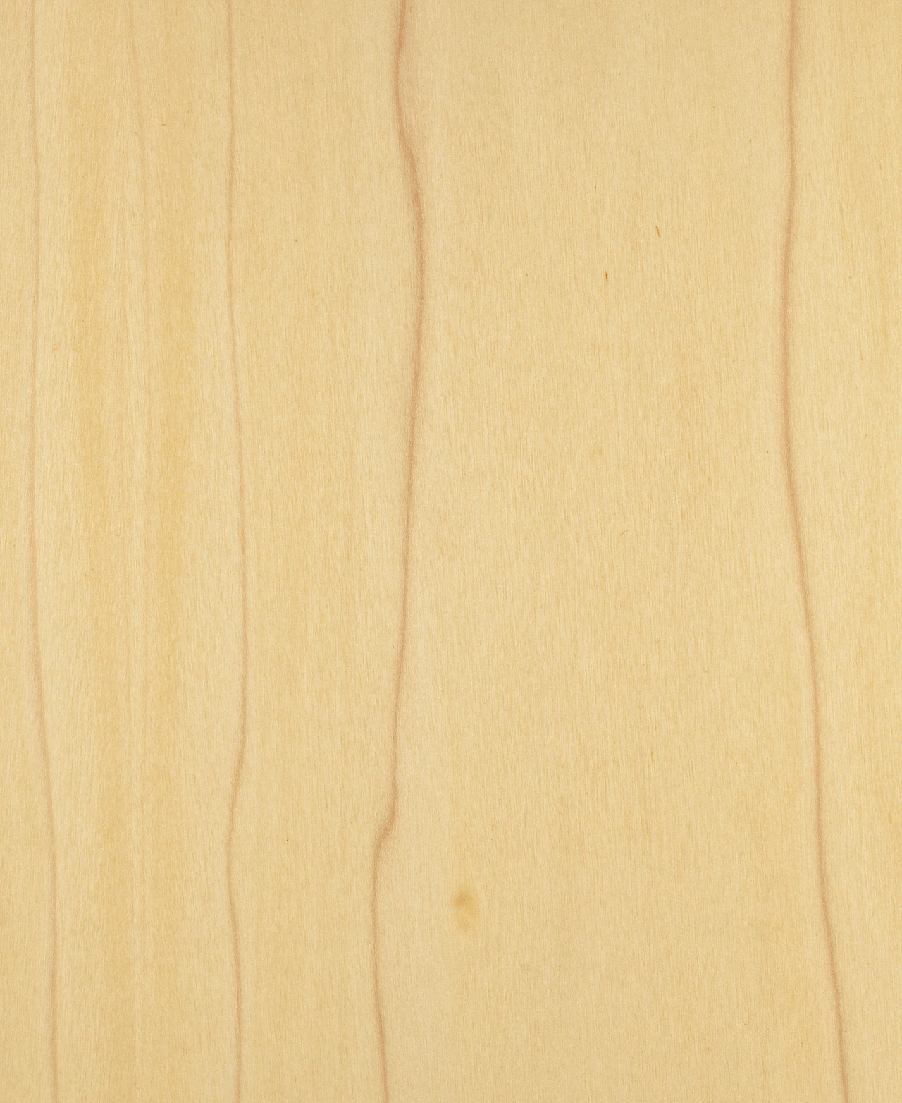 picture alternative text