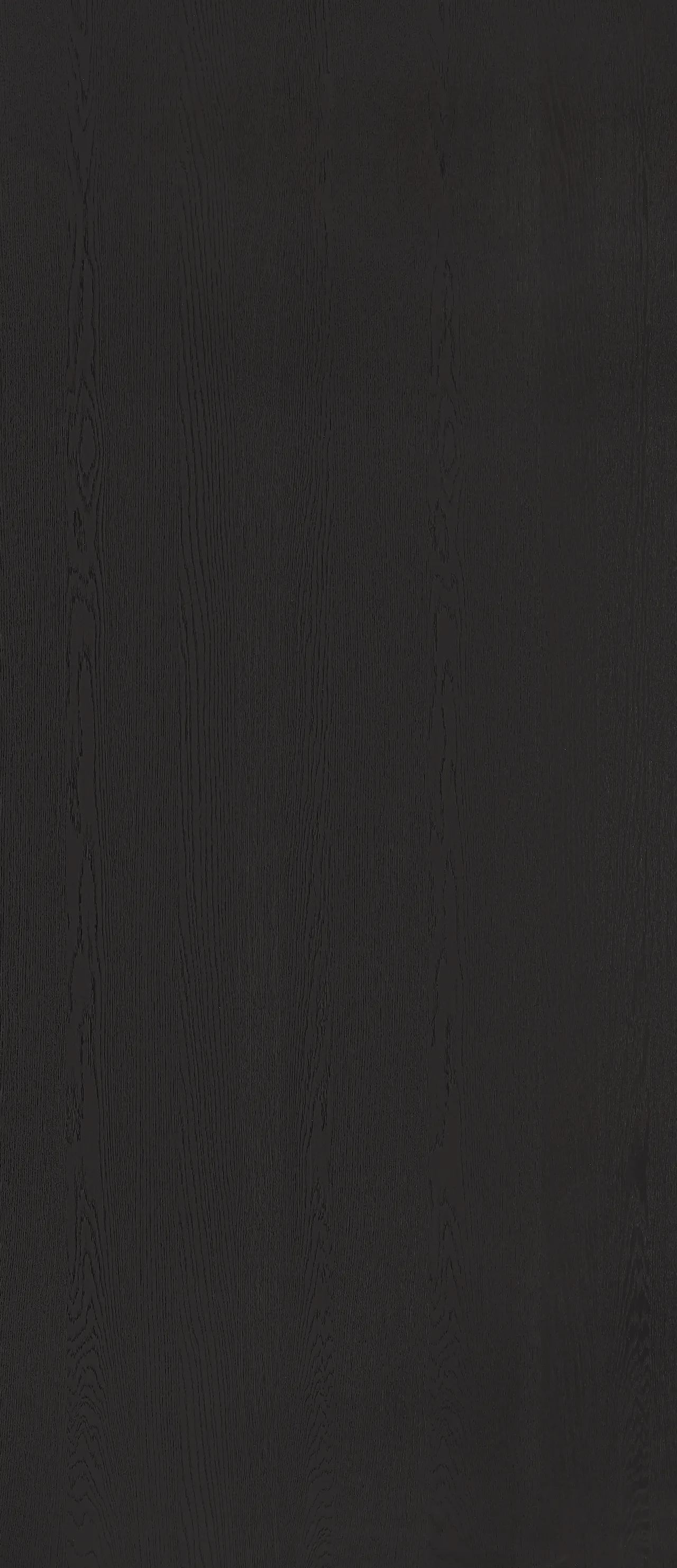 picture alternative text