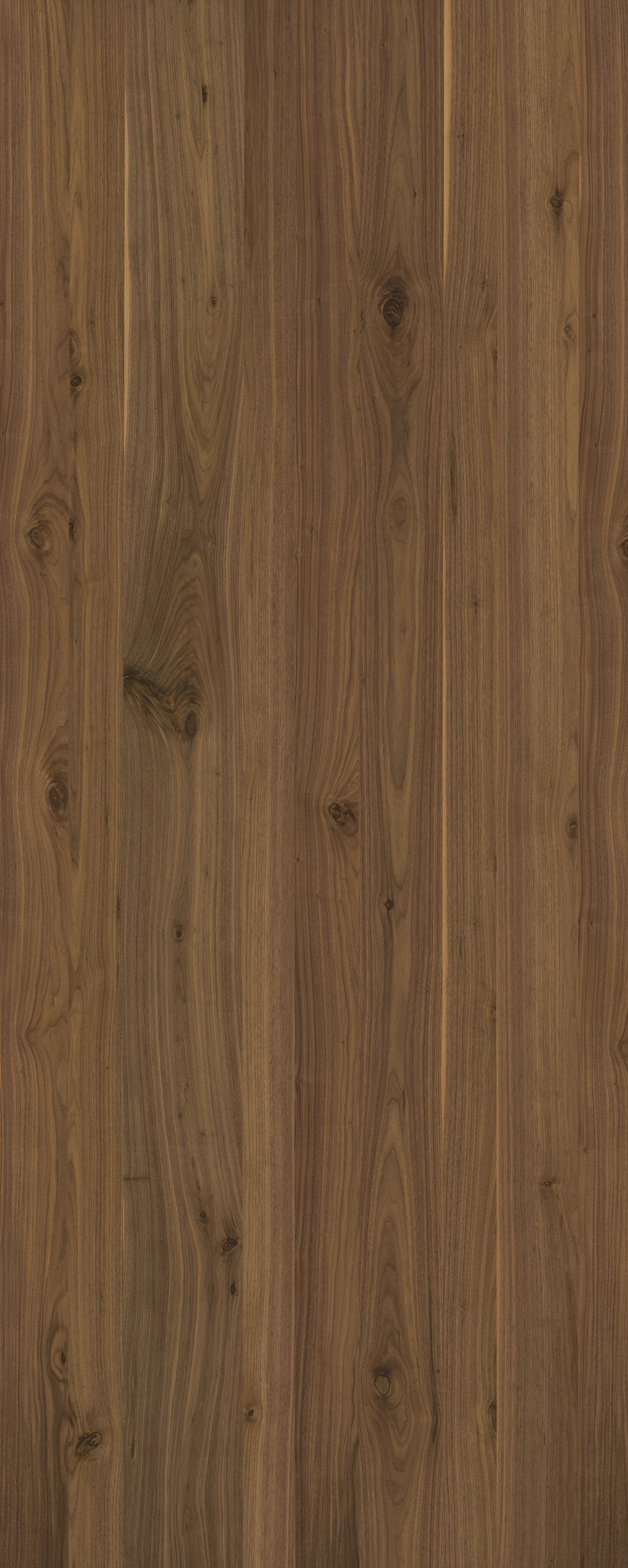 picture alternative text