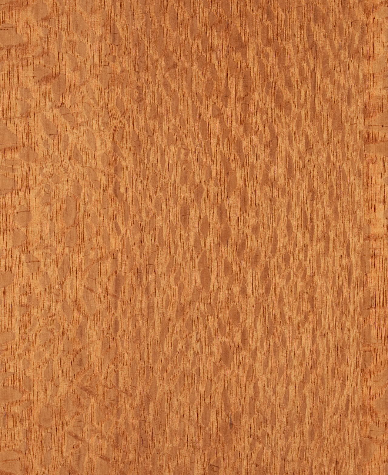 picture alternative text