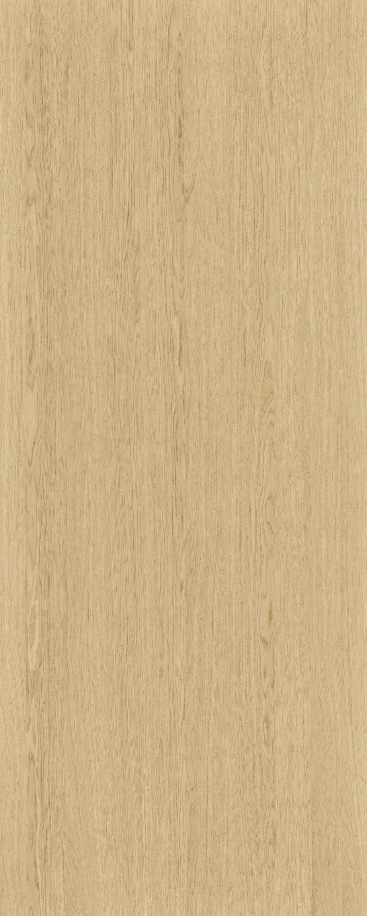 picture alternative text