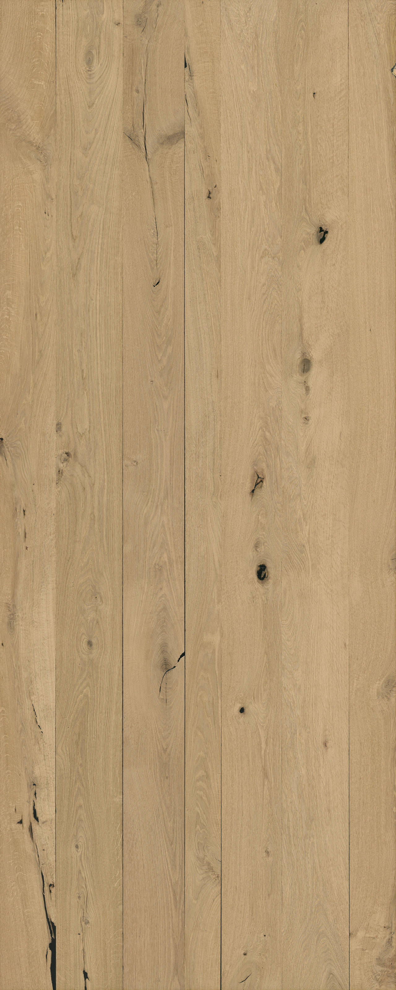 picture alternative text