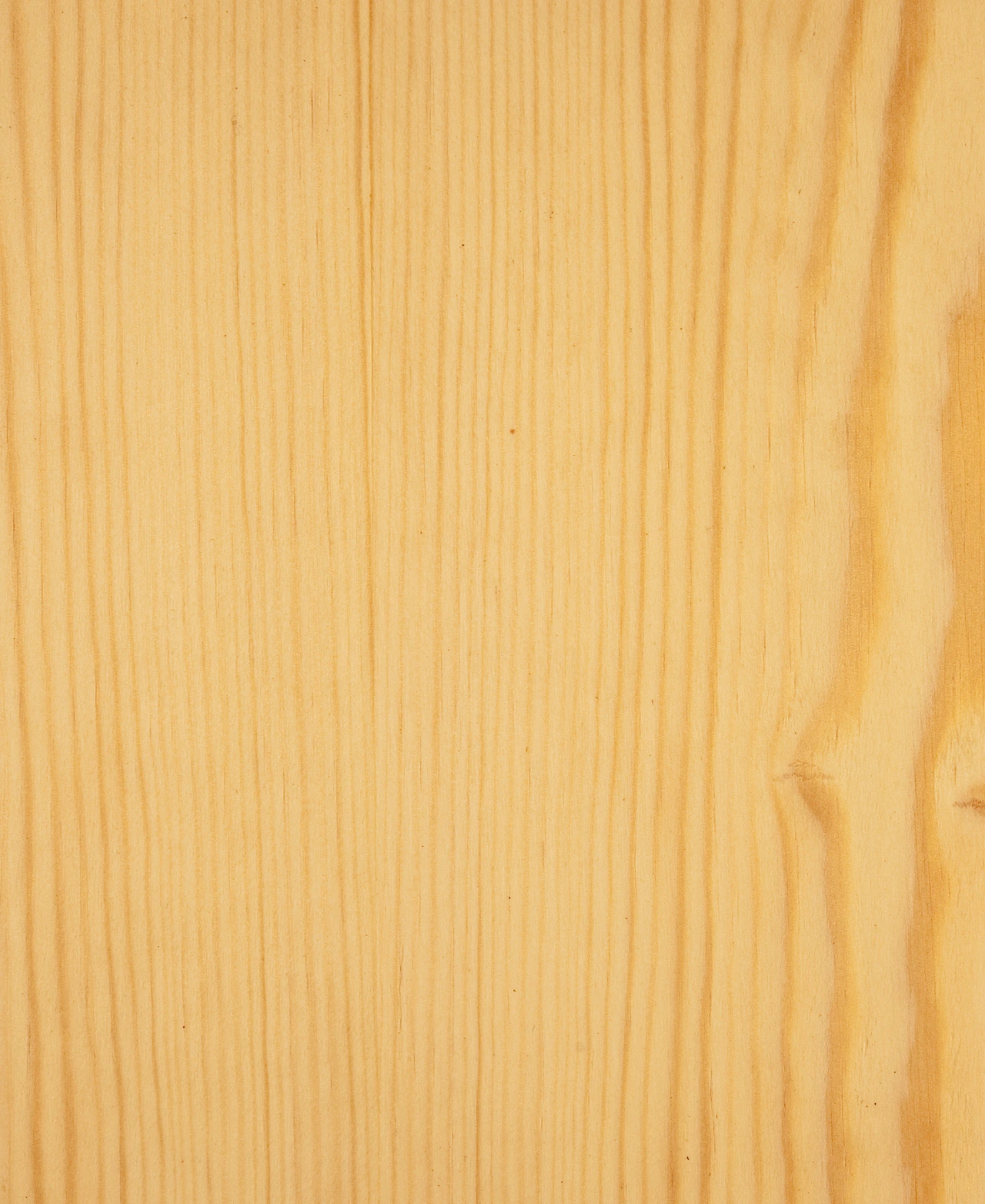 picture alternative text