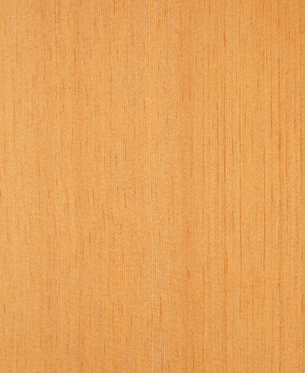 picture alternative text