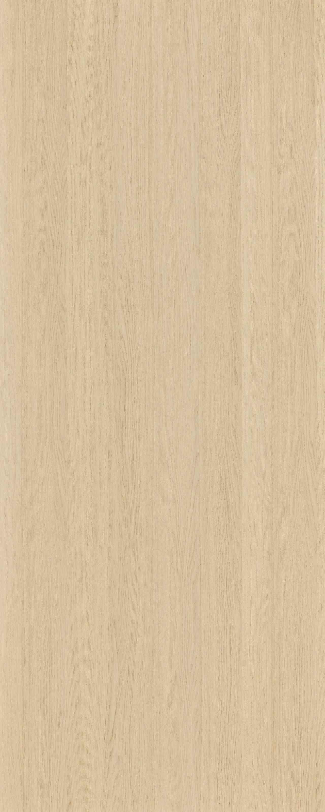 picture alternative text