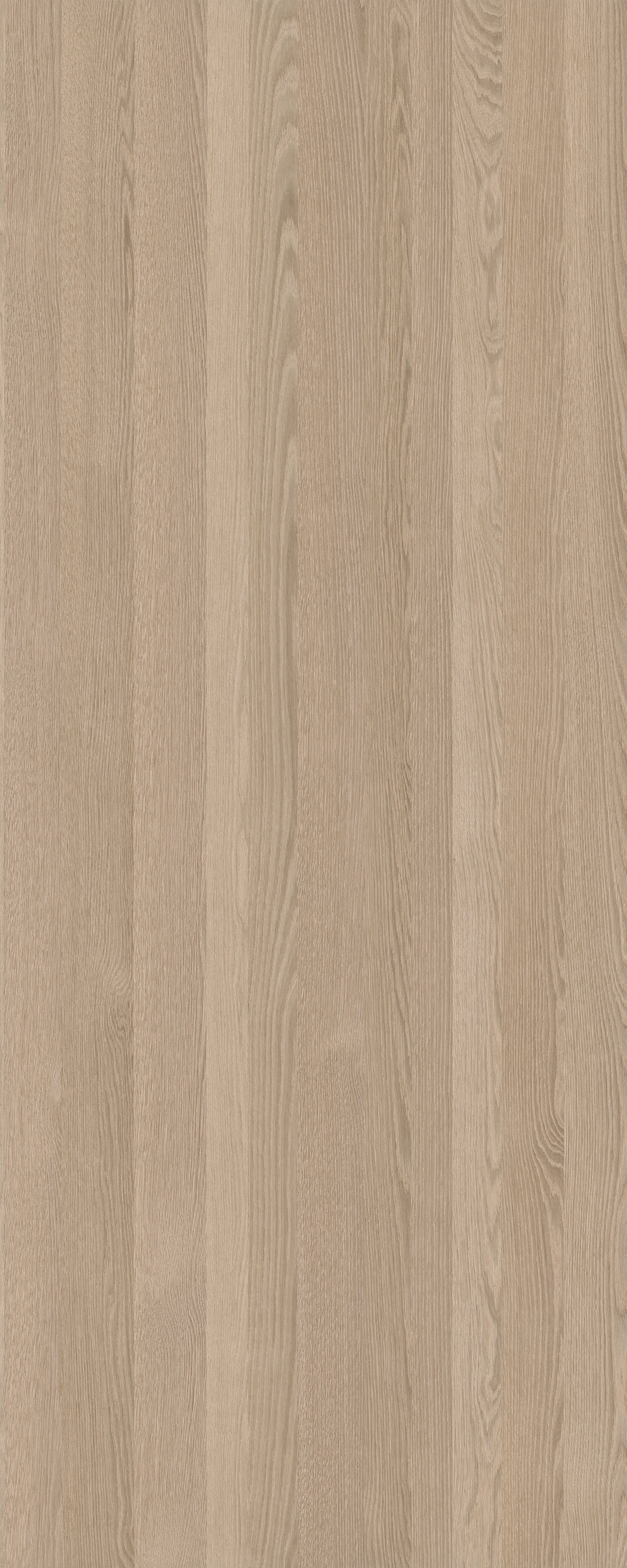 picture alternative text