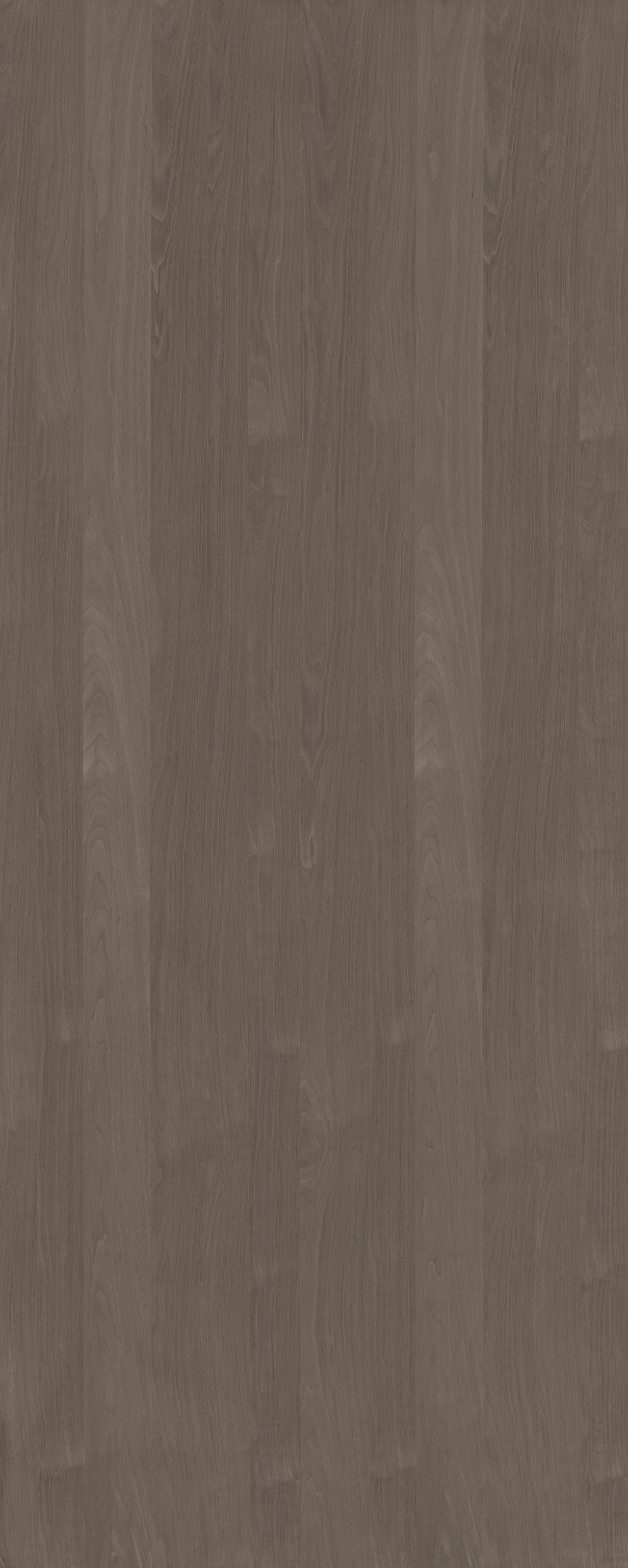 picture alternative text