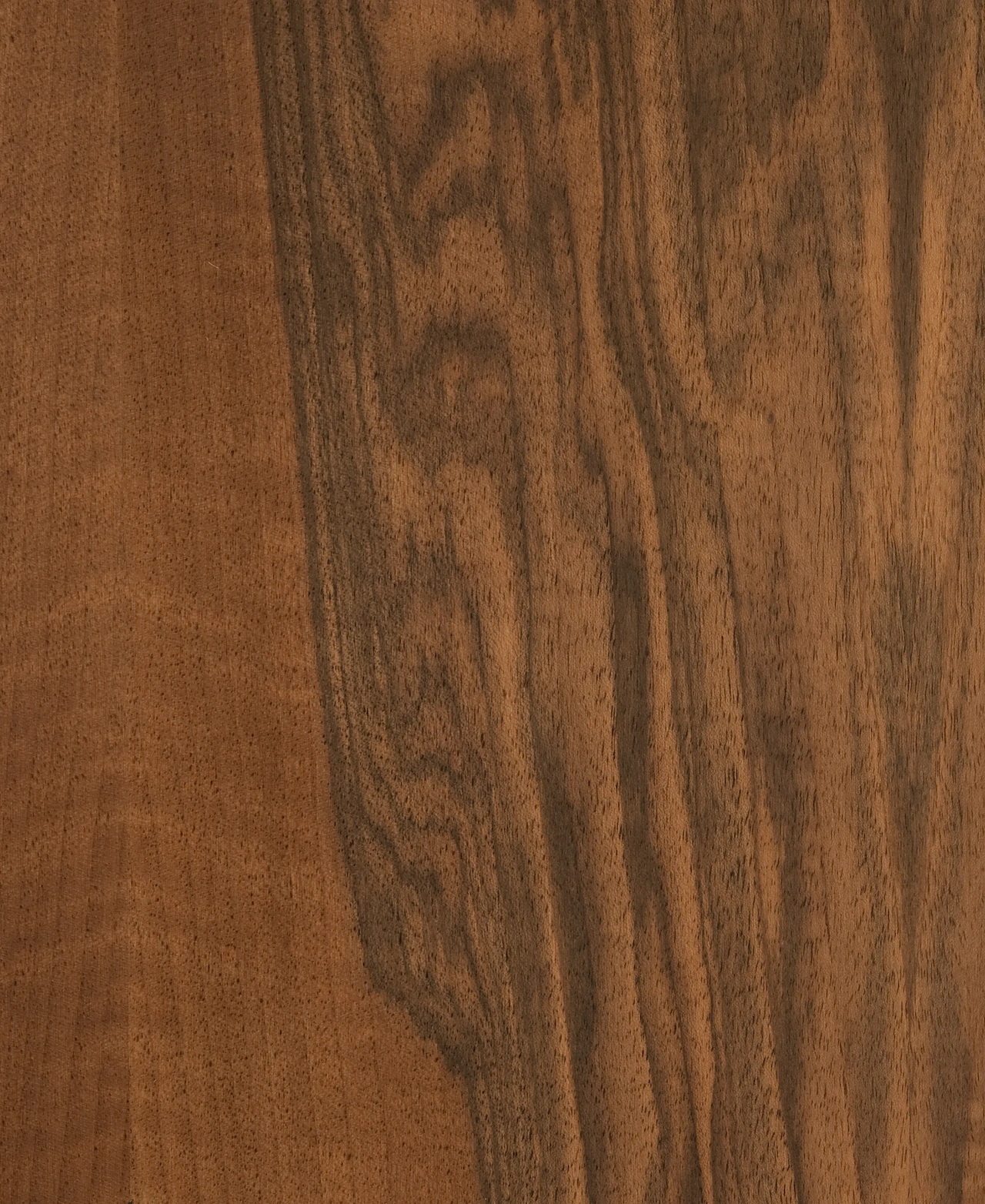 picture alternative text