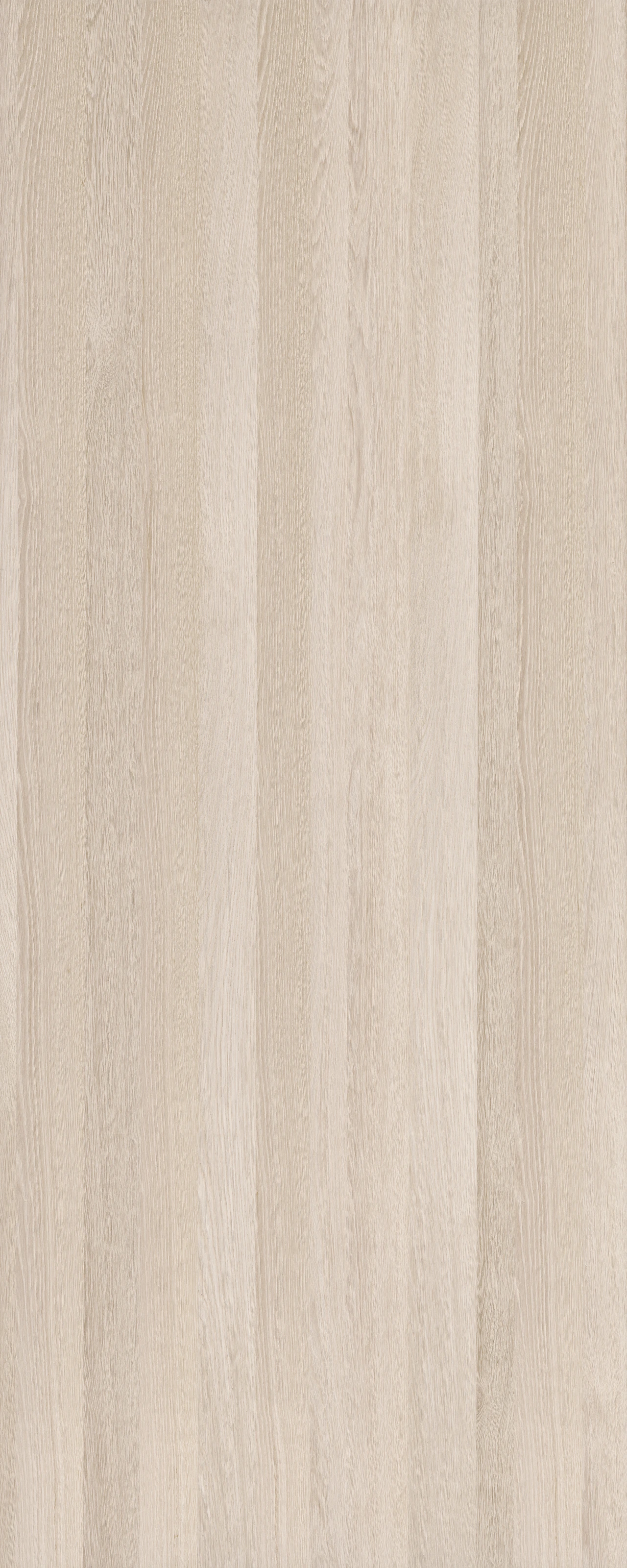 picture alternative text