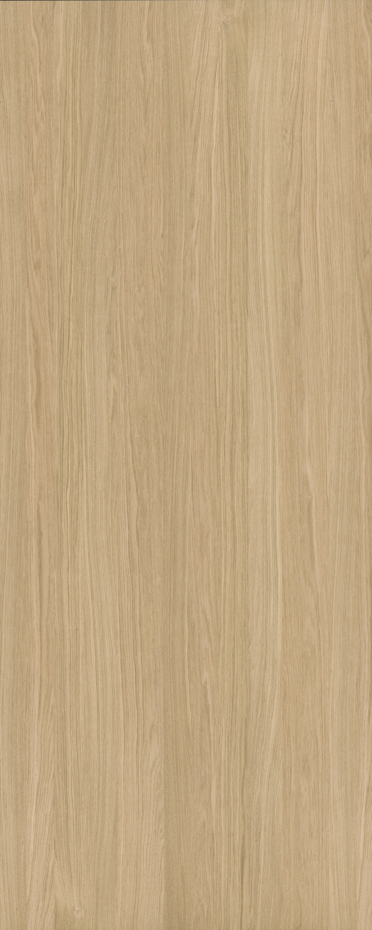 picture alternative text