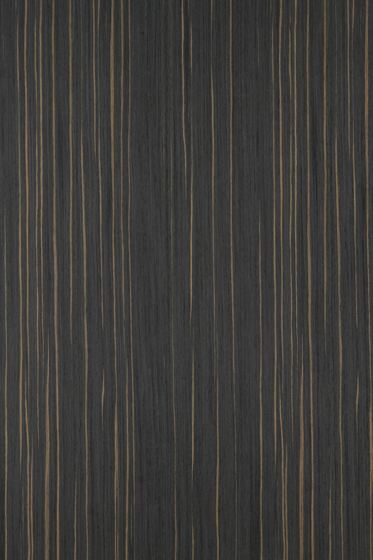 picture alternative text