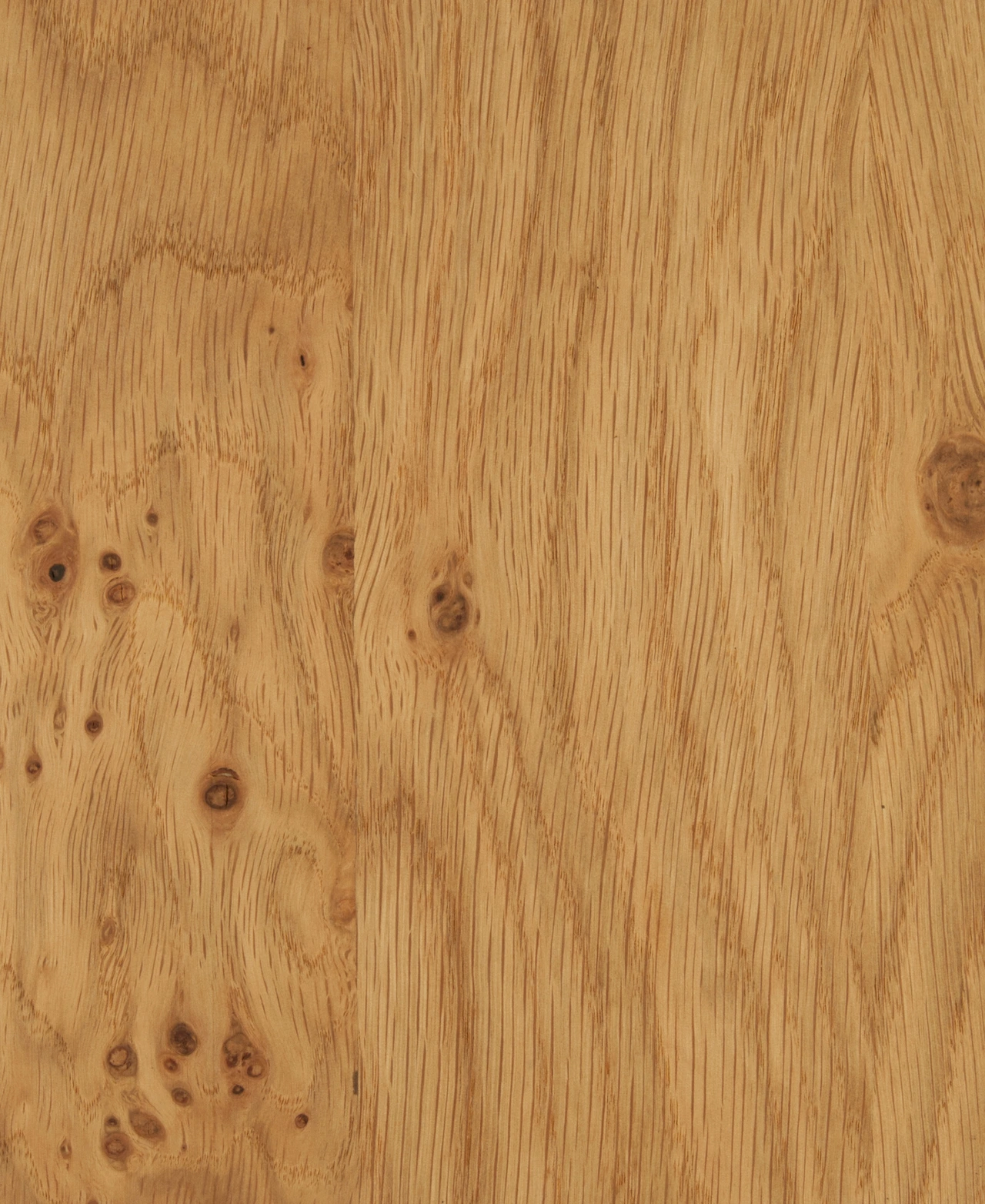 picture alternative text