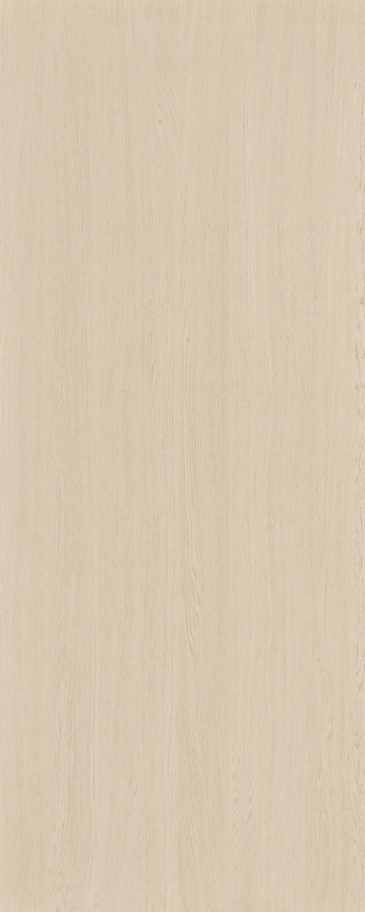 picture alternative text