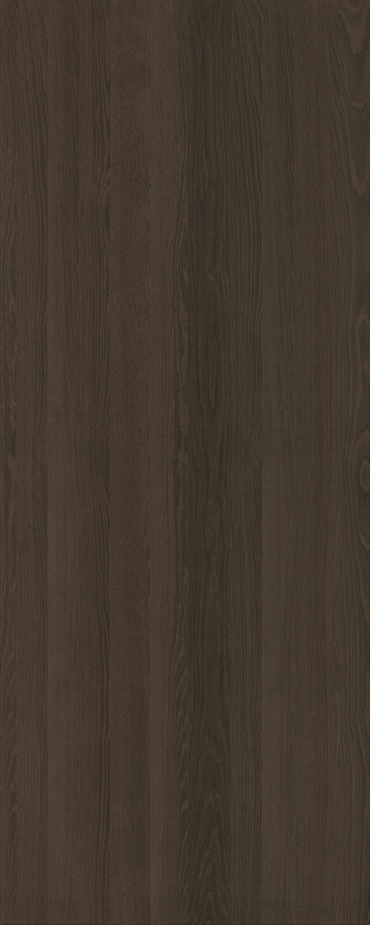 picture alternative text