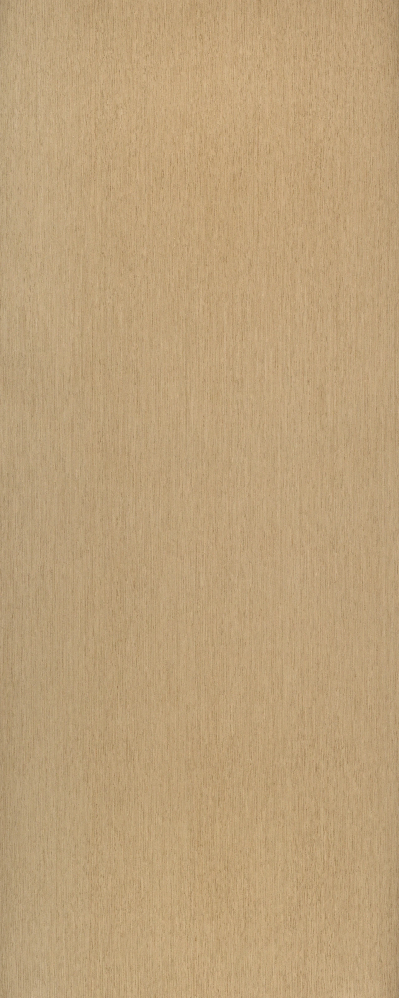 picture alternative text