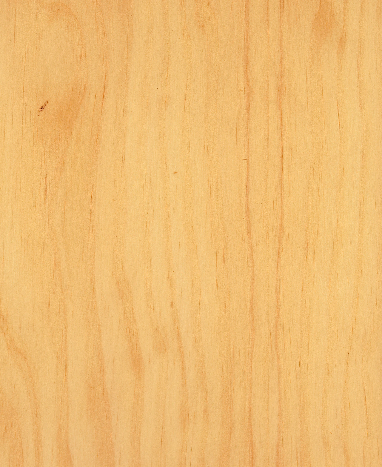 picture alternative text