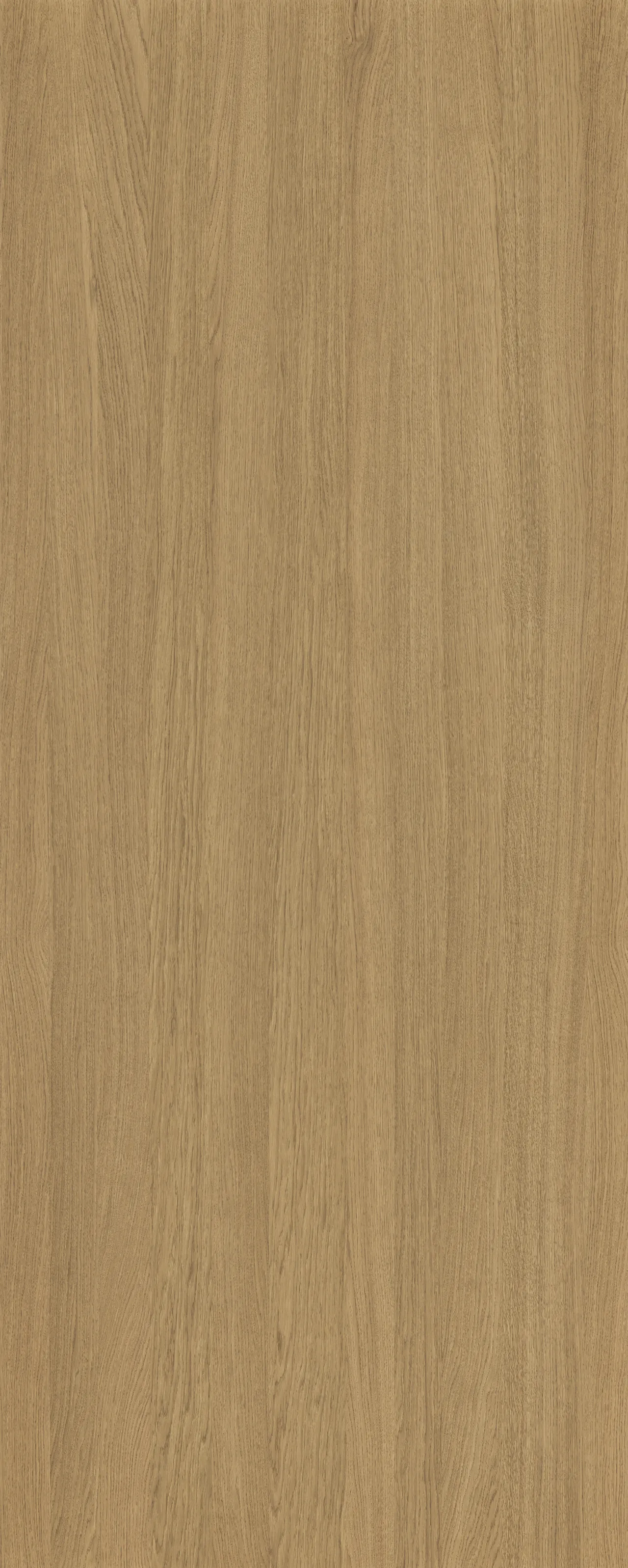 picture alternative text