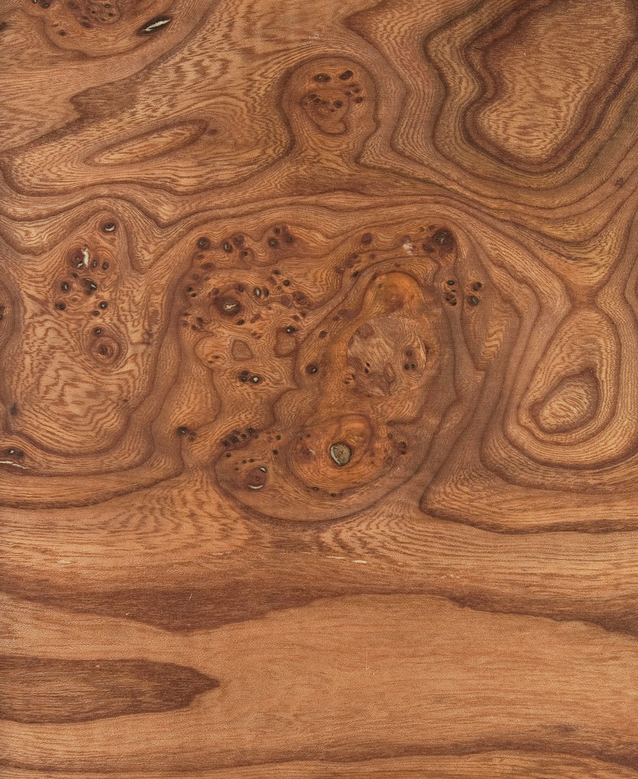 picture alternative text