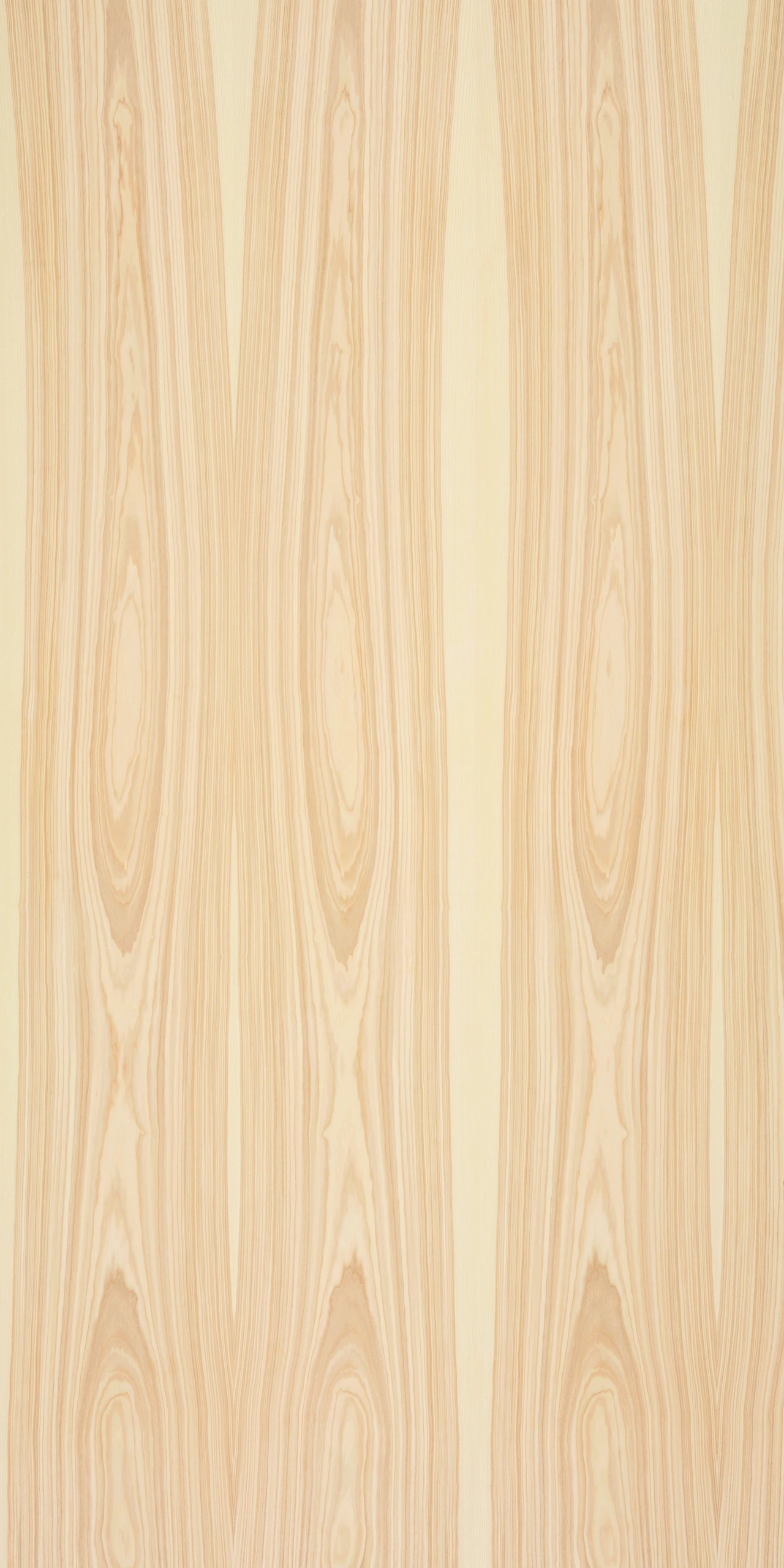 picture alternative text