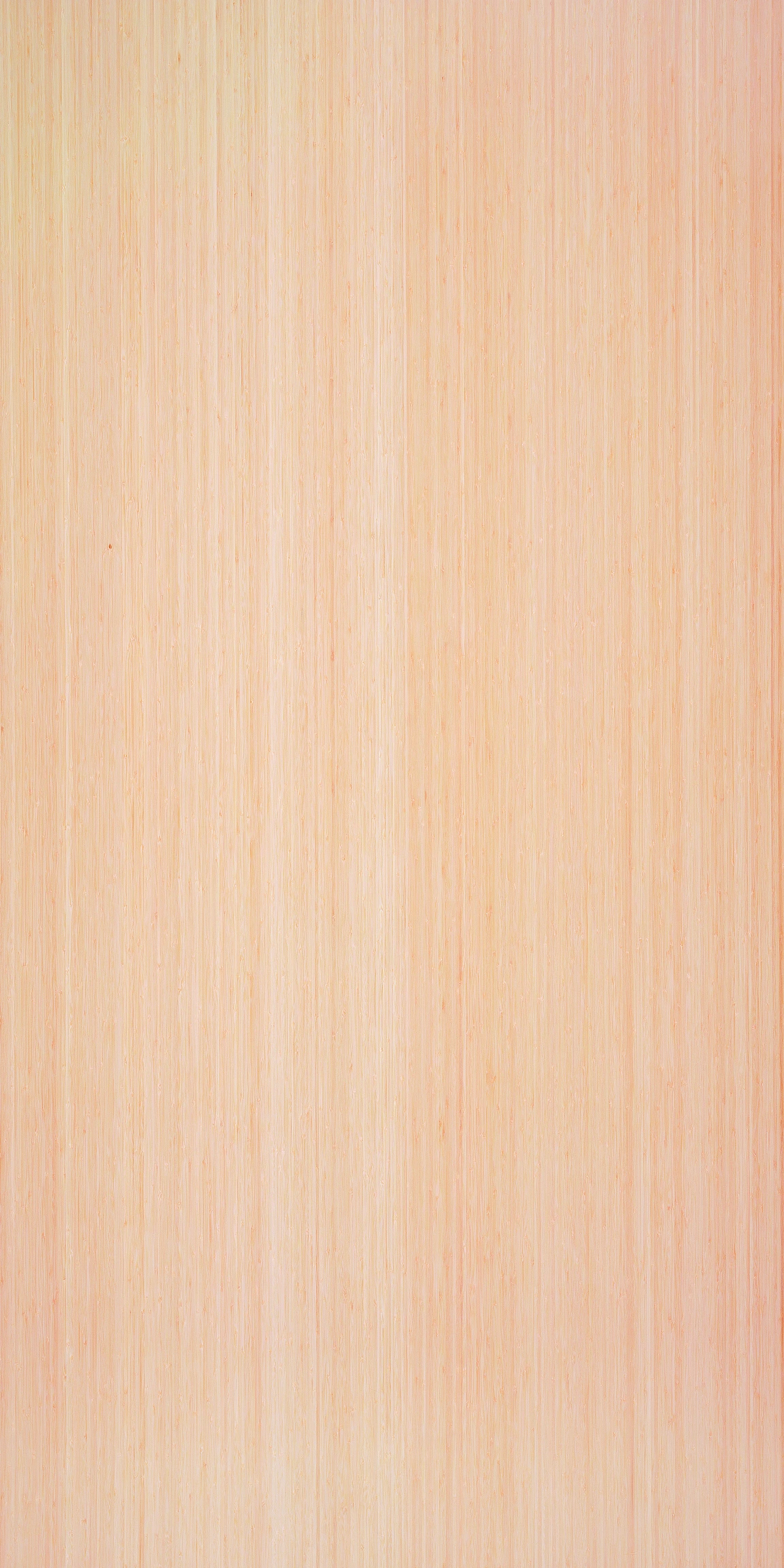 picture alternative text