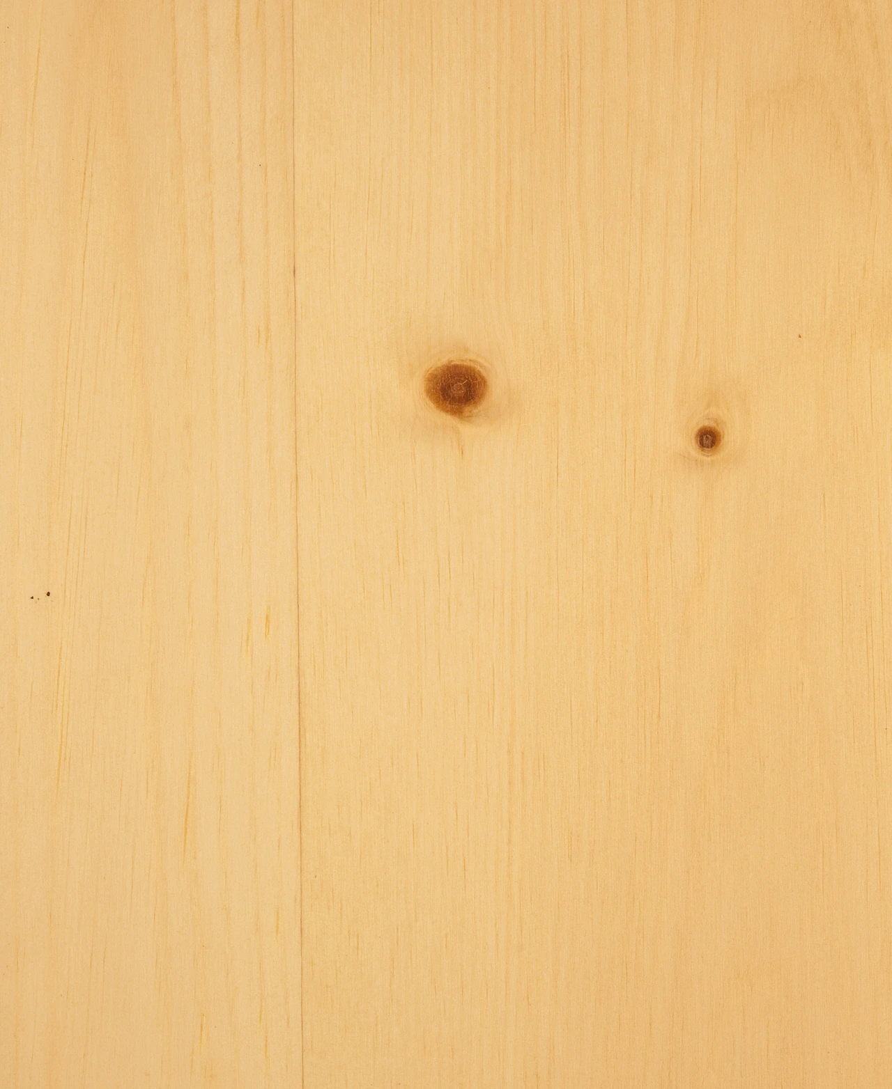 picture alternative text