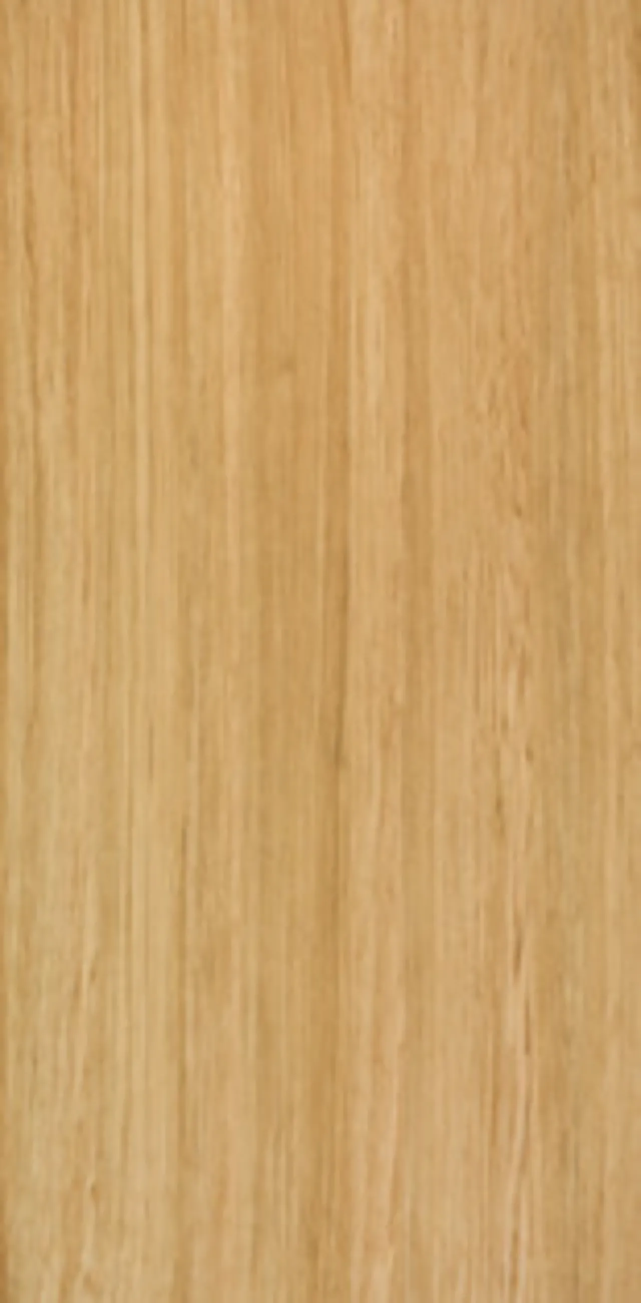 picture alternative text