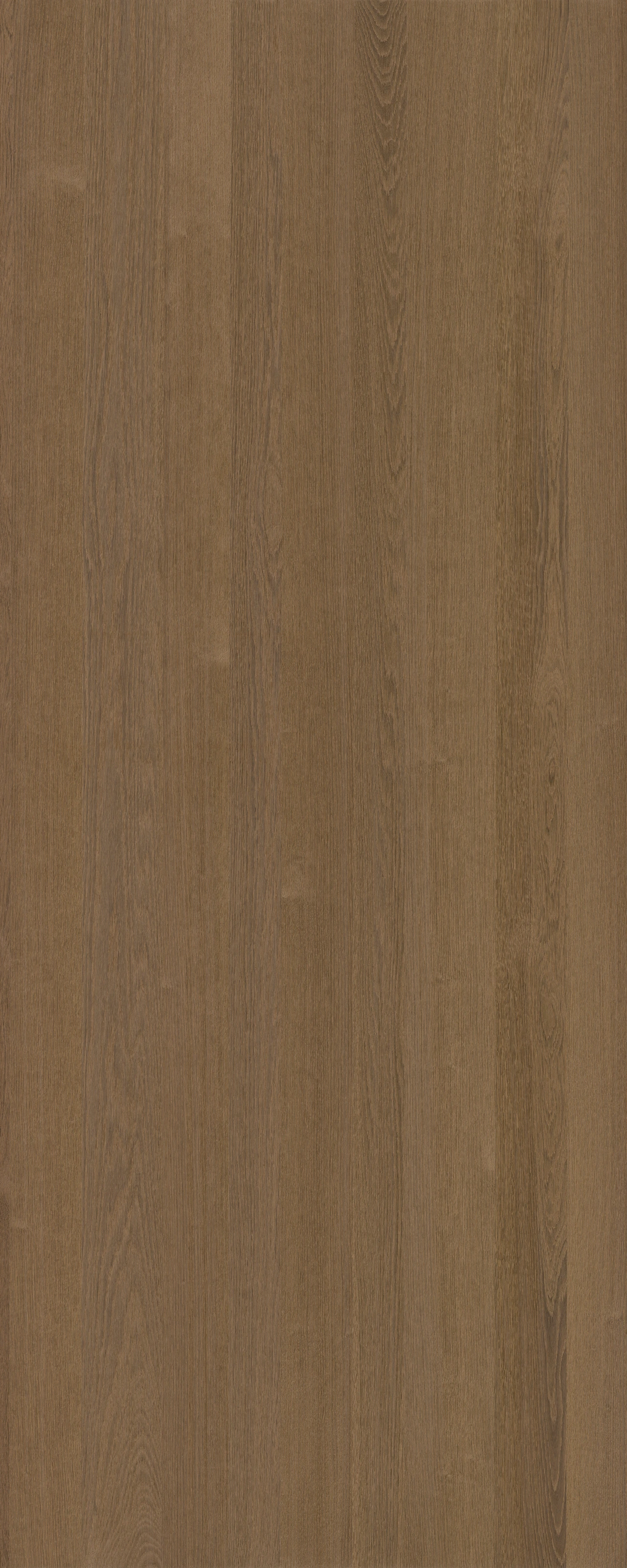 picture alternative text