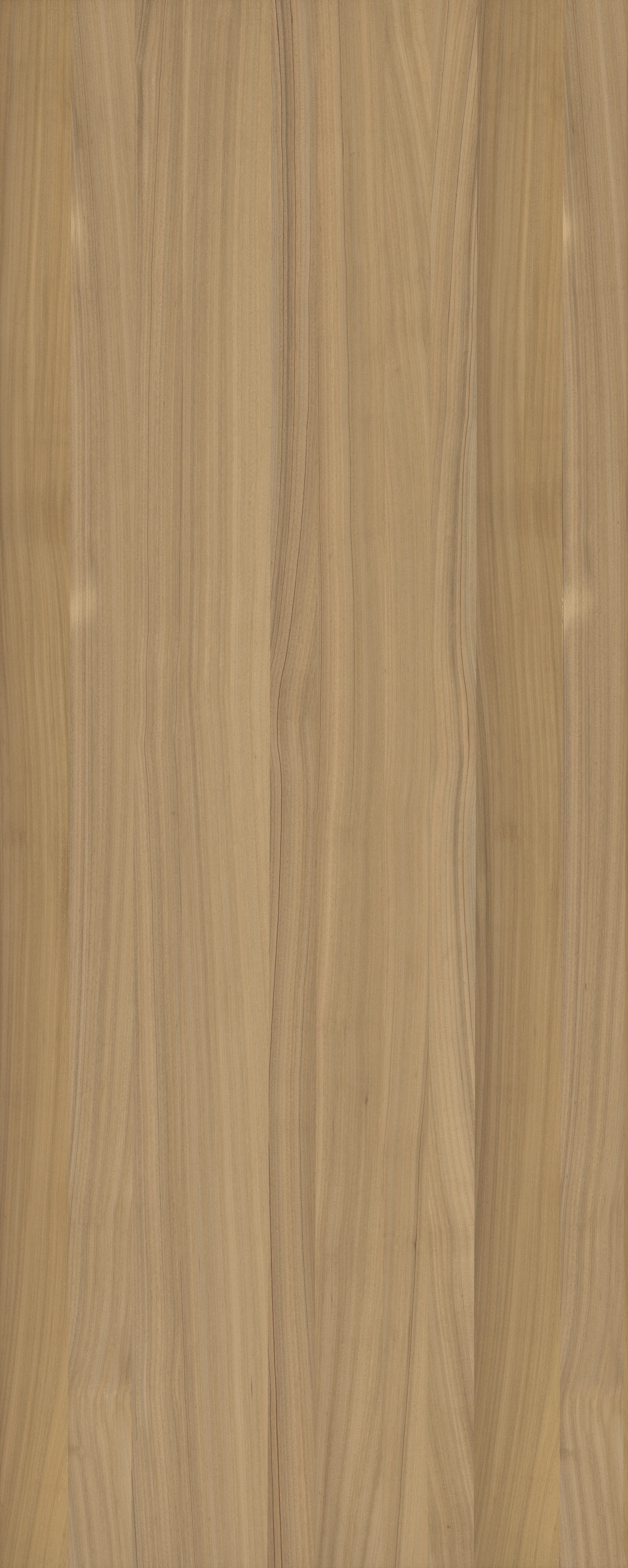 picture alternative text