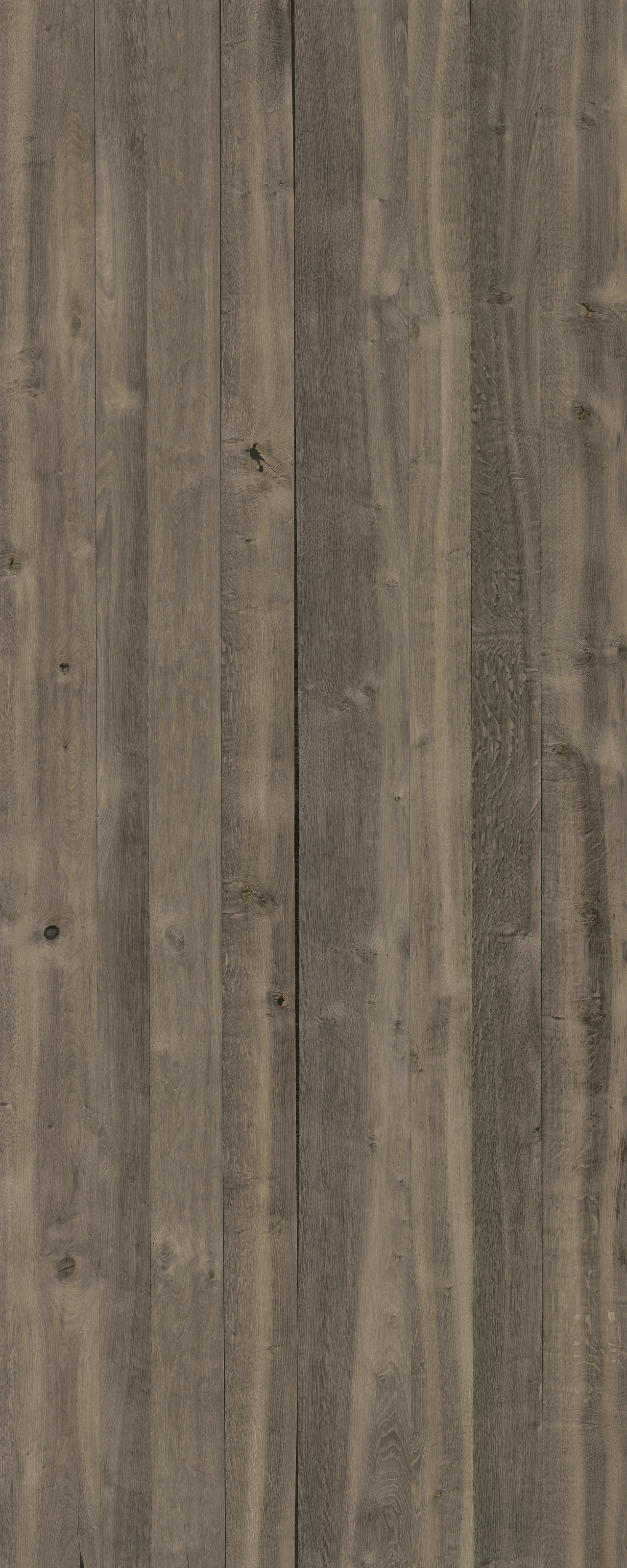 picture alternative text