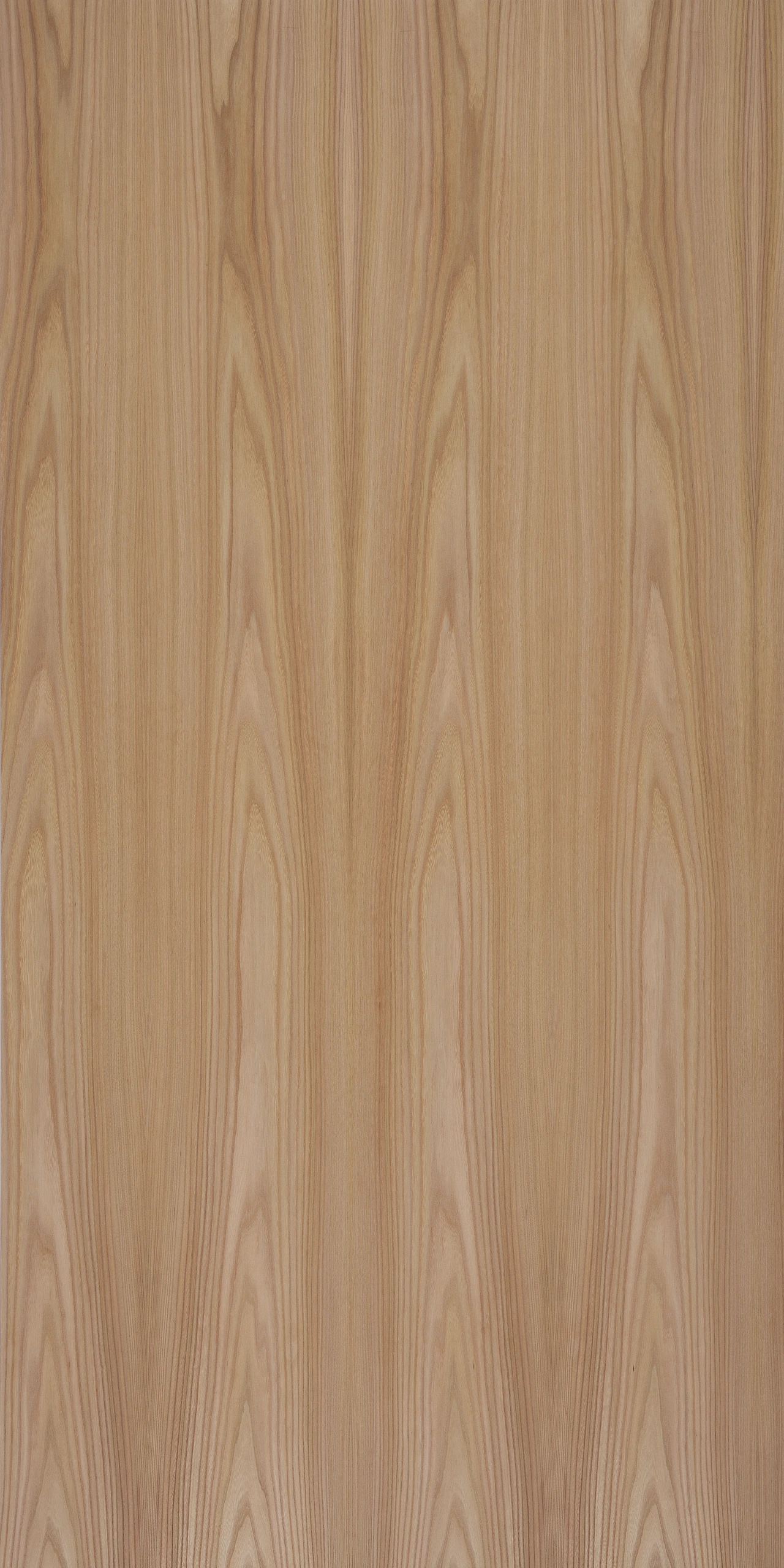 picture alternative text