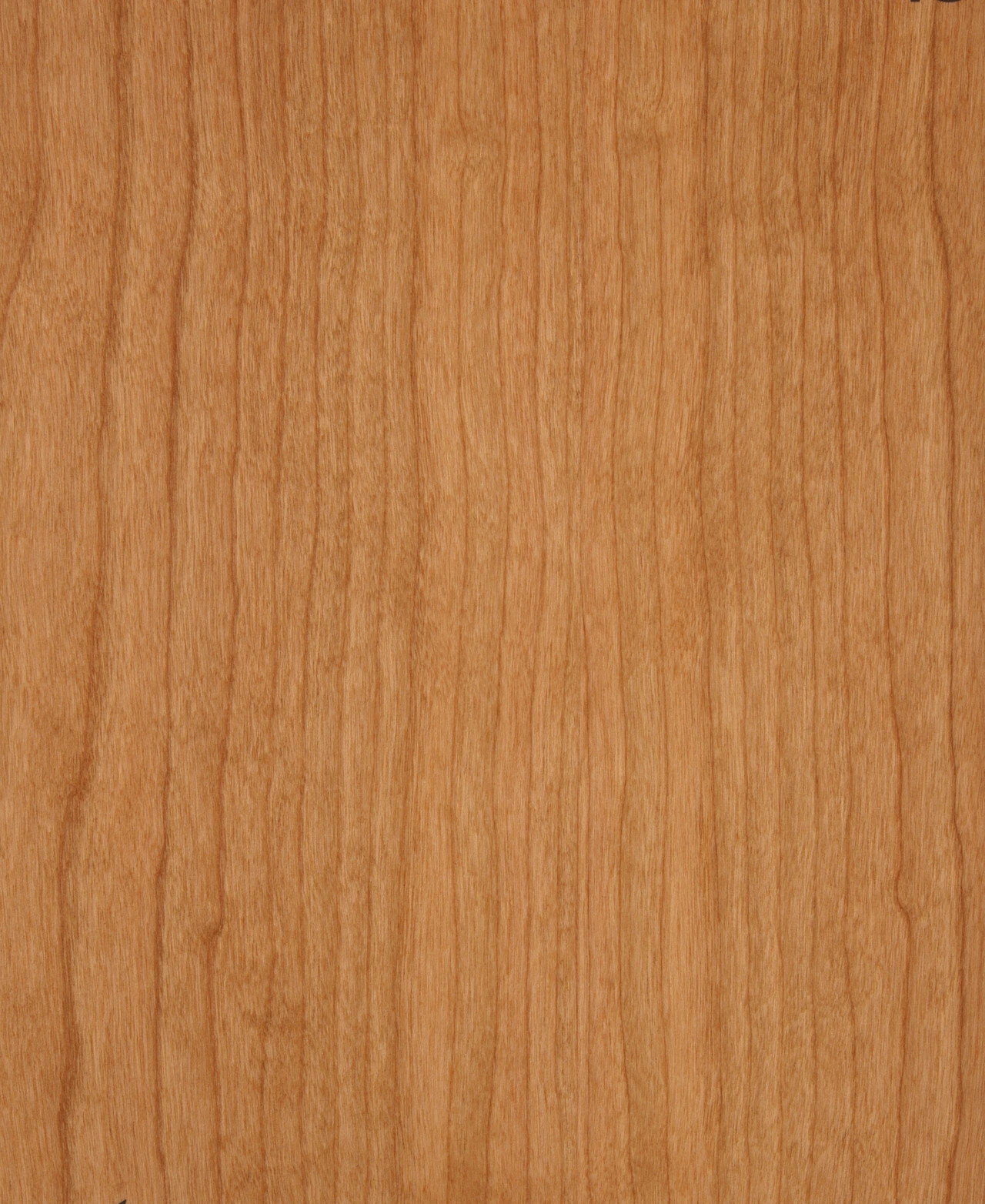 picture alternative text