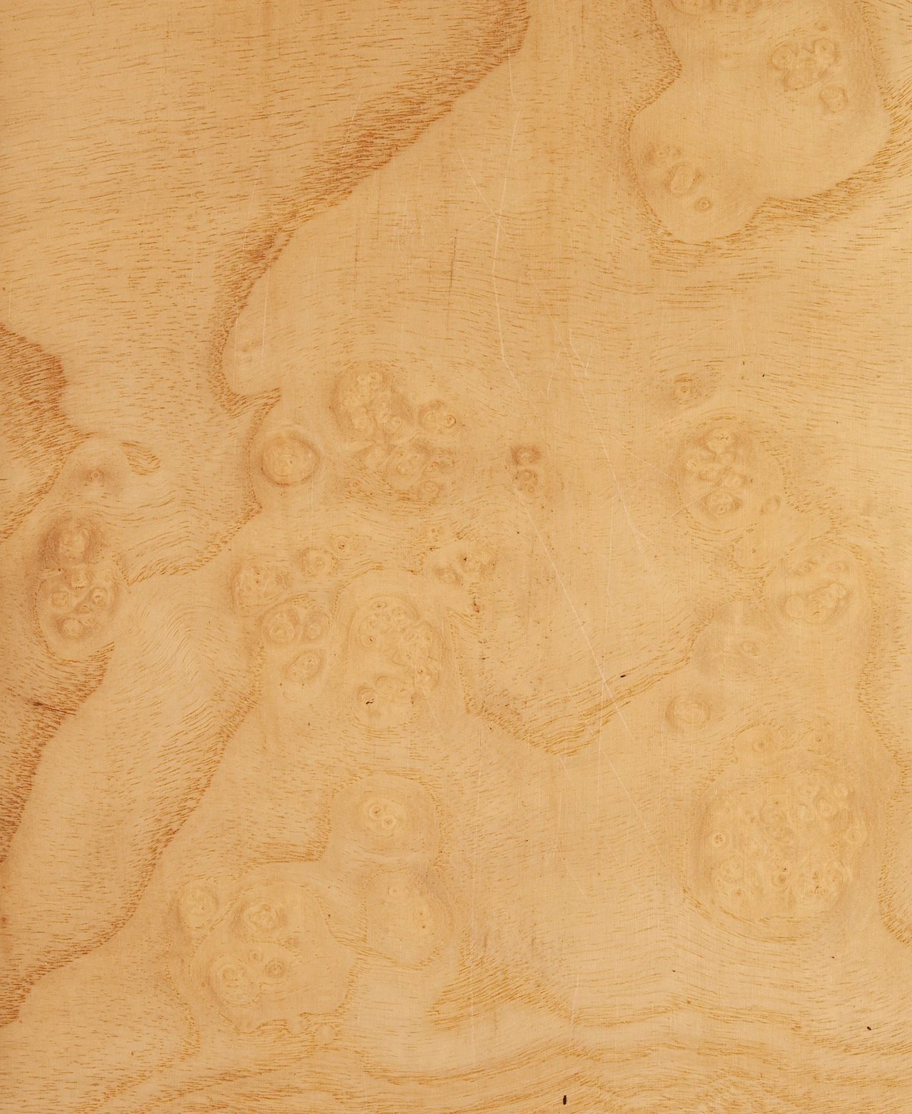 picture alternative text