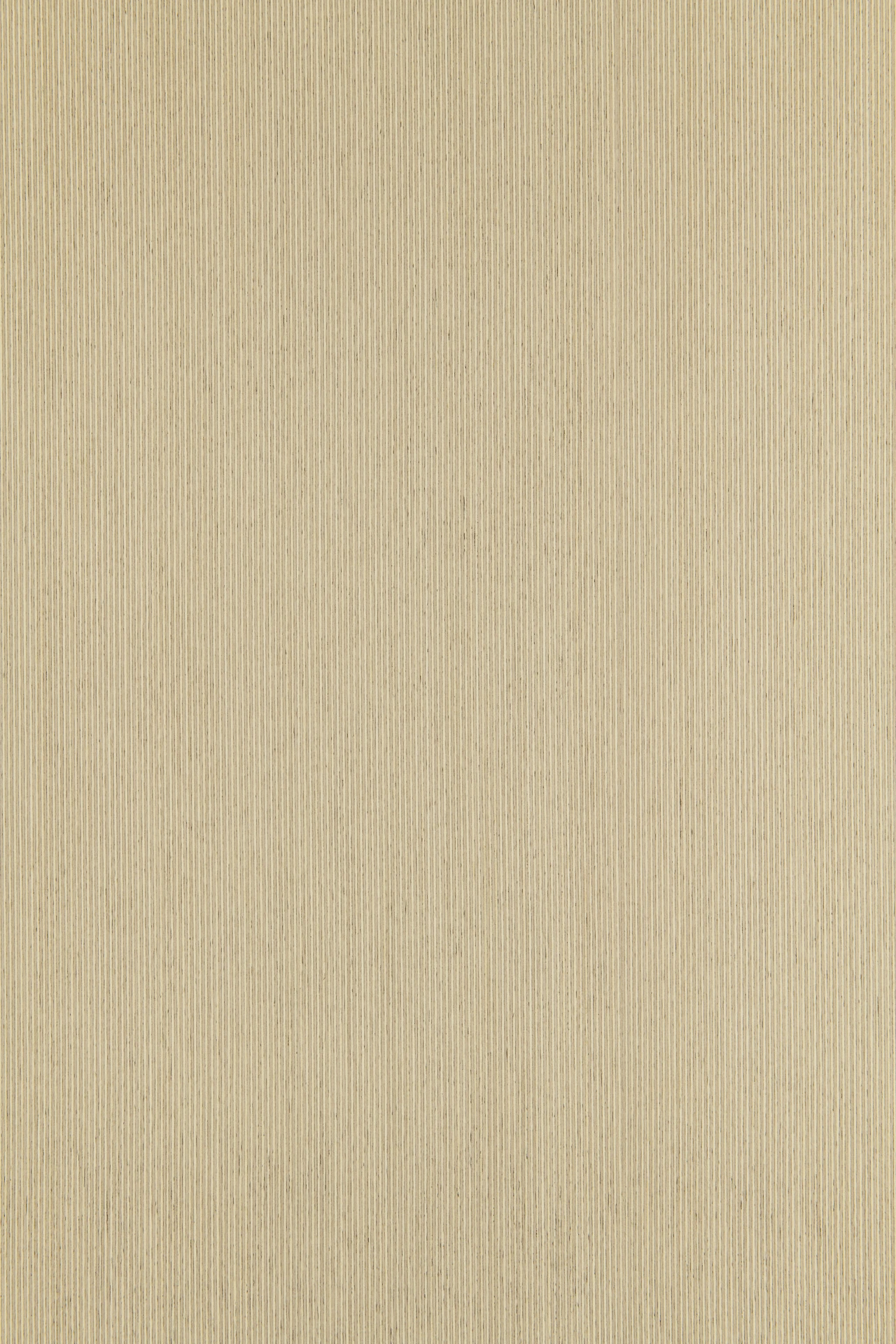 picture alternative text