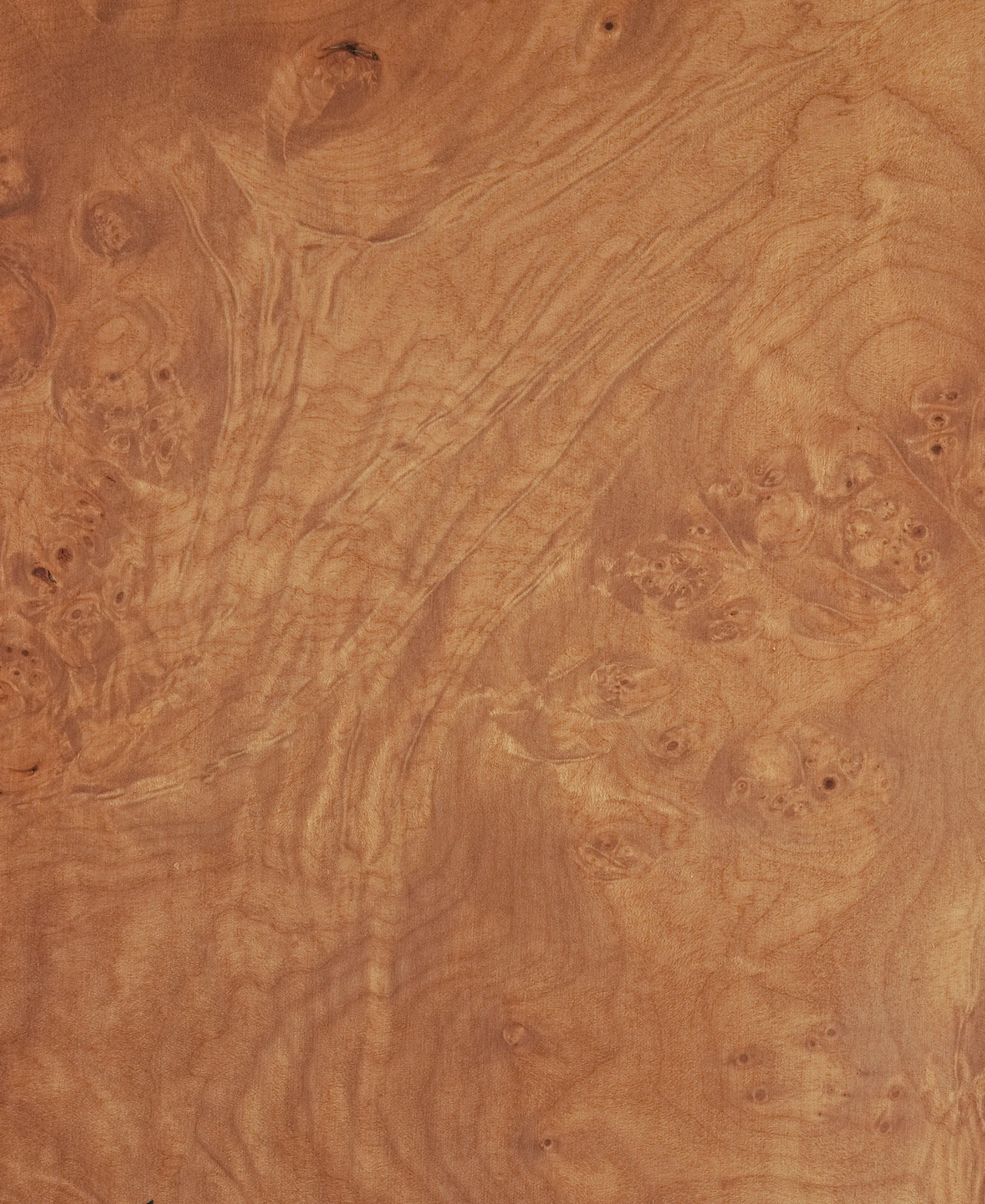 picture alternative text