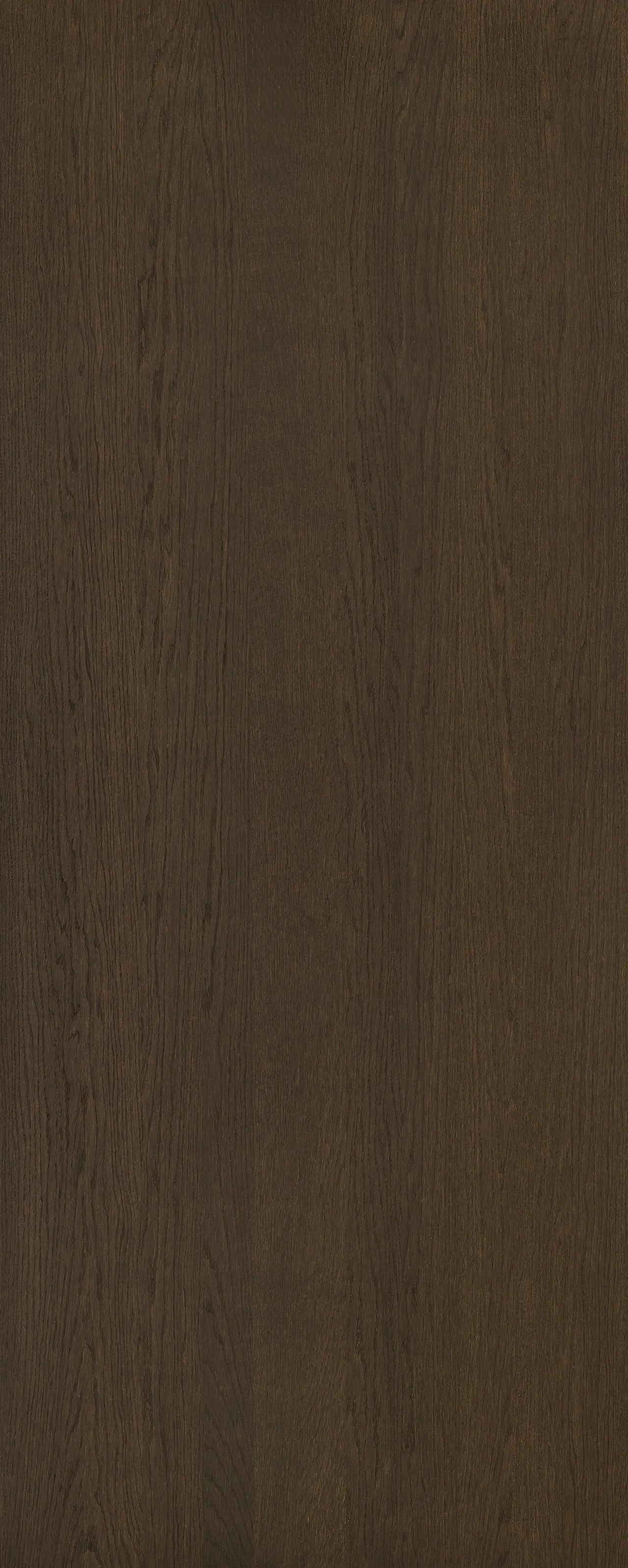 picture alternative text