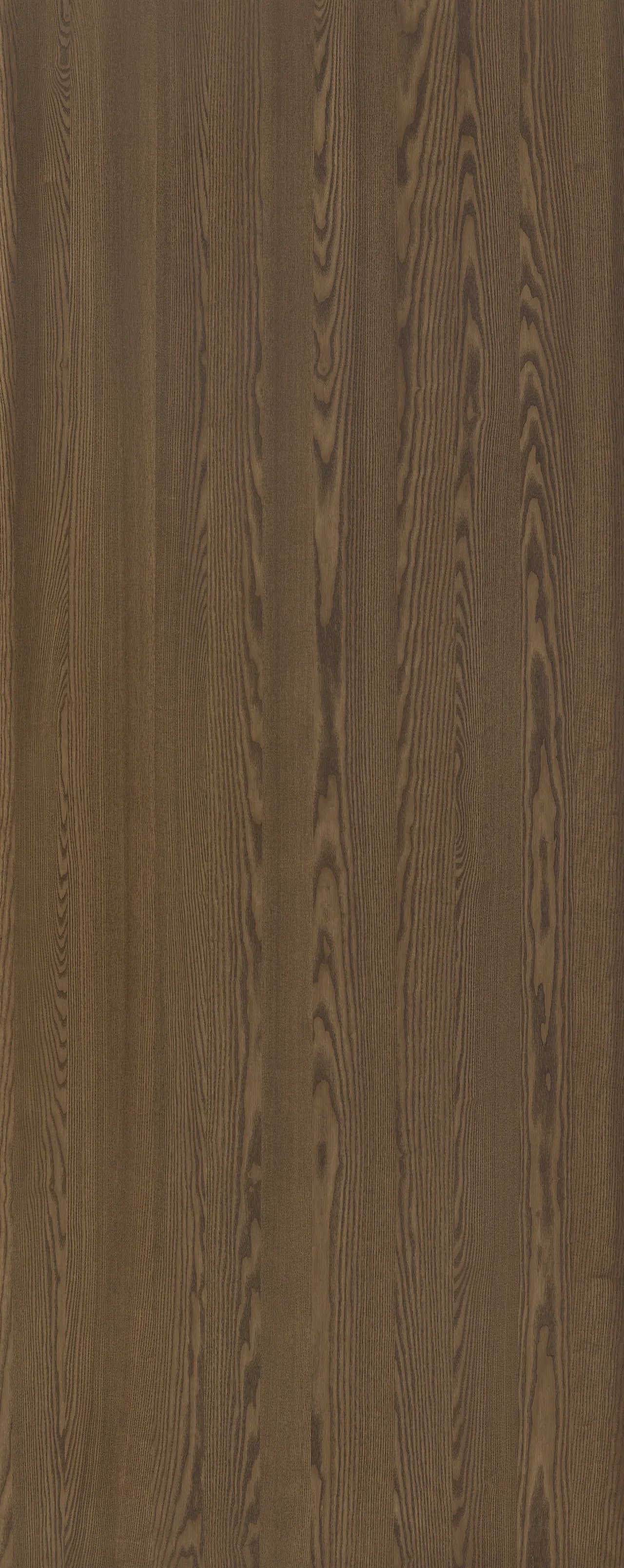 picture alternative text